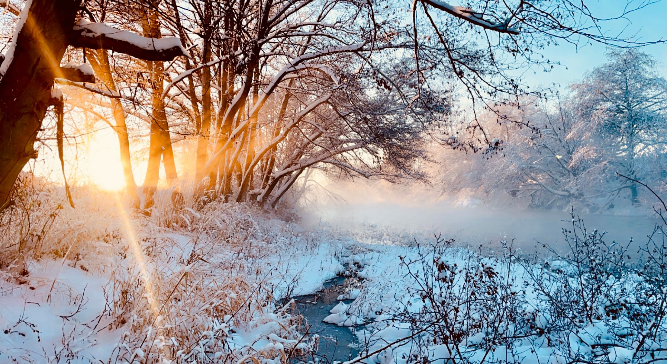 Country Campsite close to Wineries