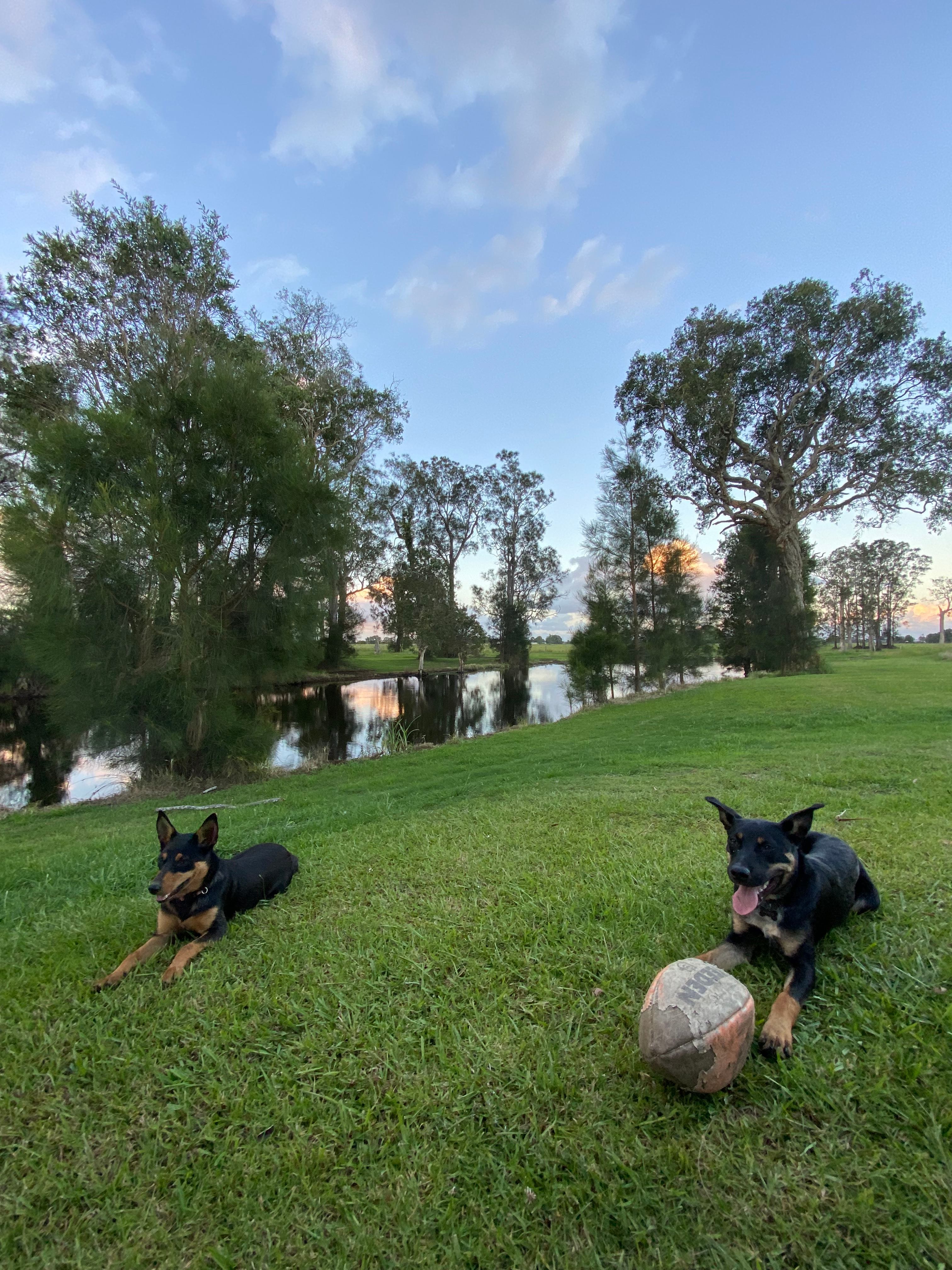 Playstation Campsite