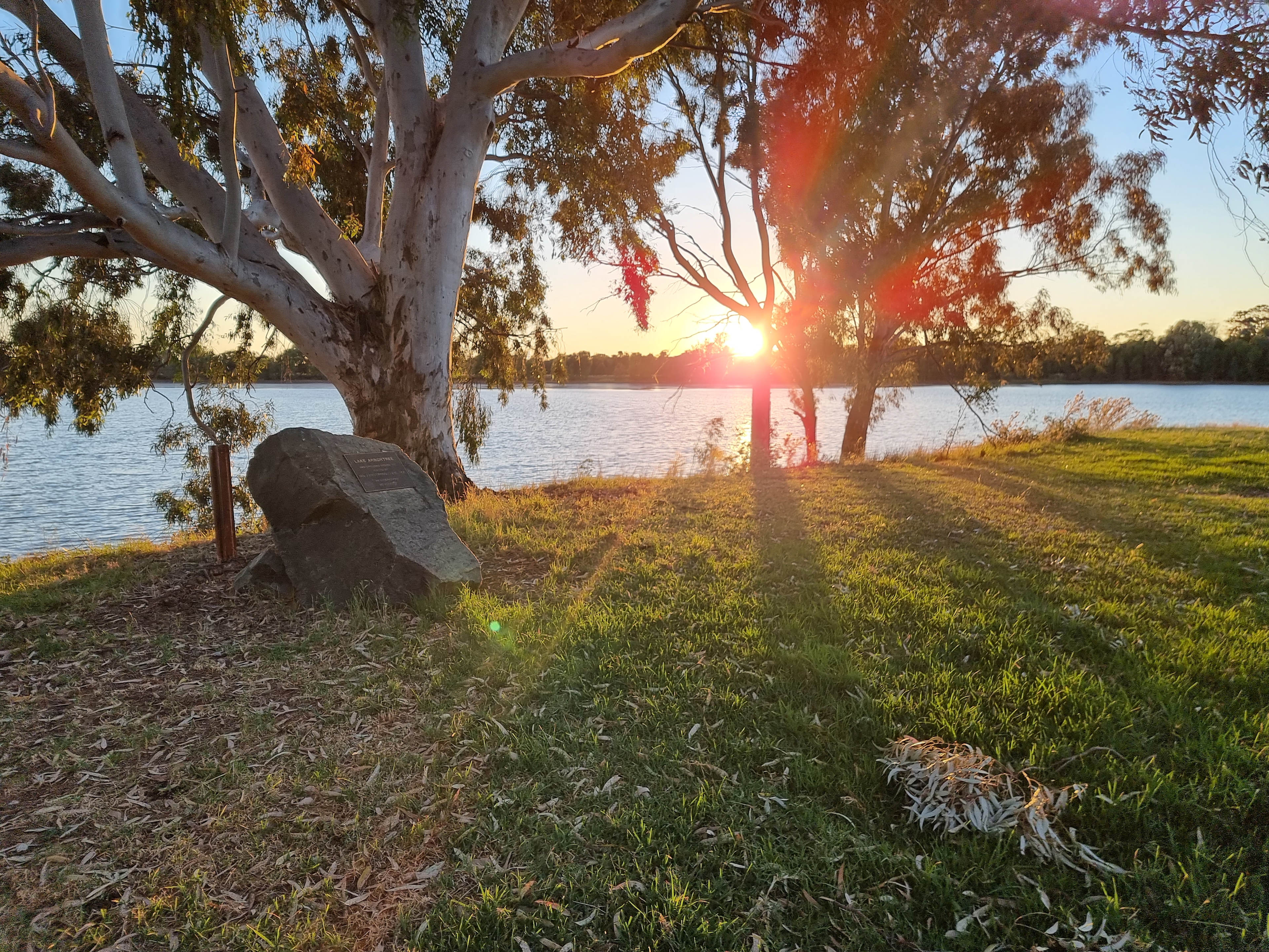 Mirrool Creek, Lake Abortree