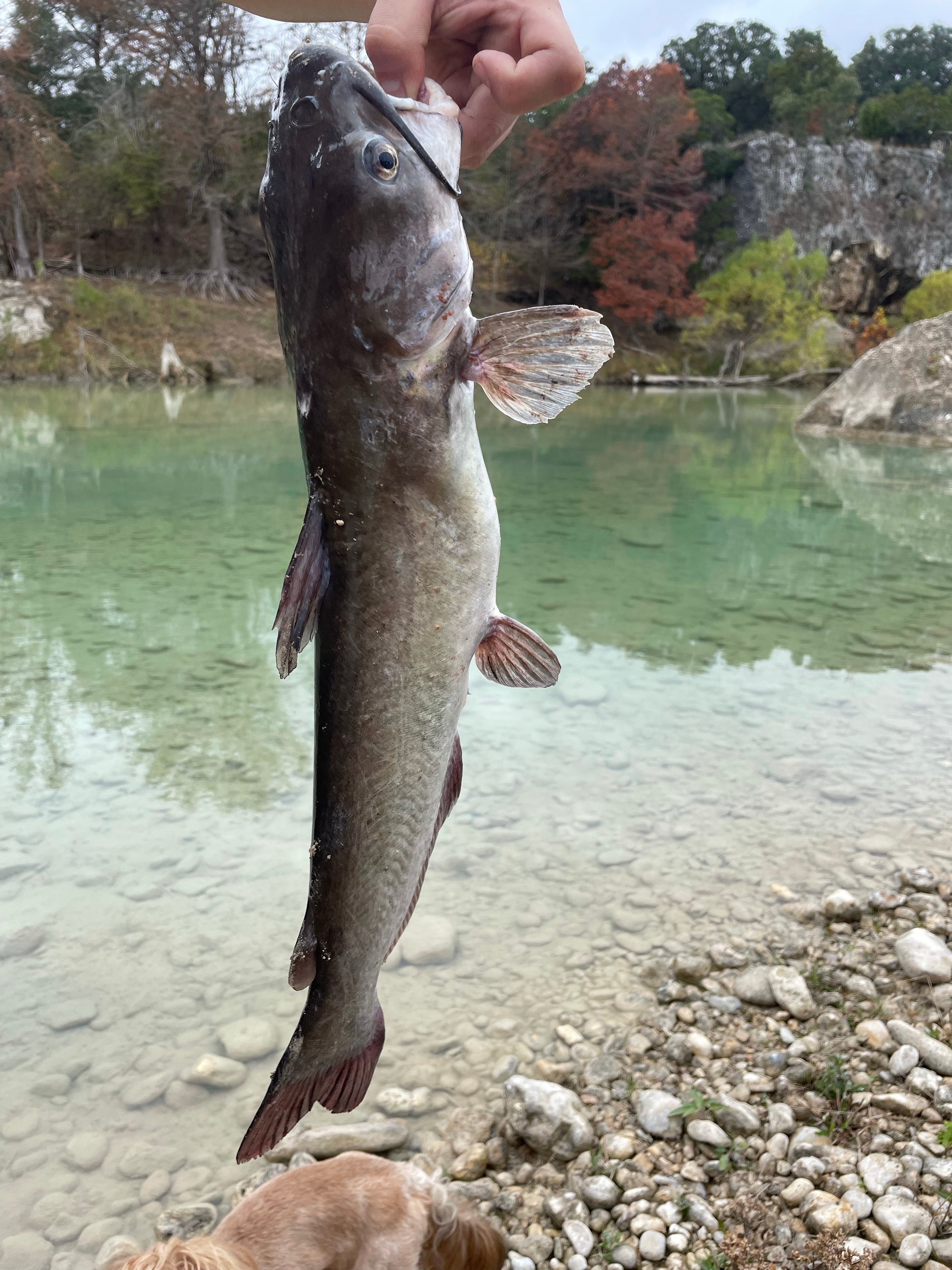 Sparrow Bend River Retreat