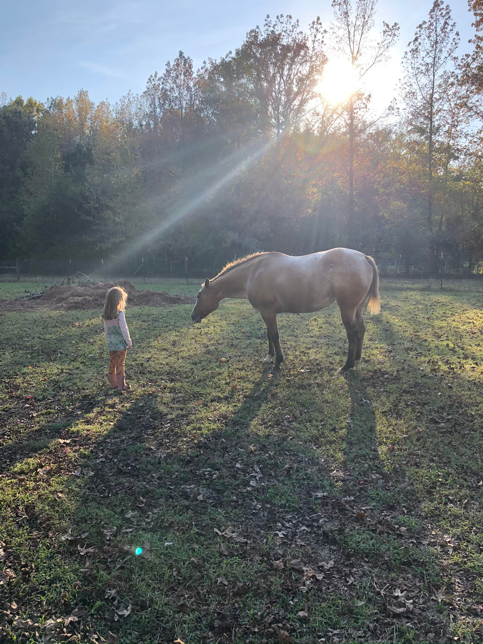 Moon Lake Farm - Camp, Fish, Relax