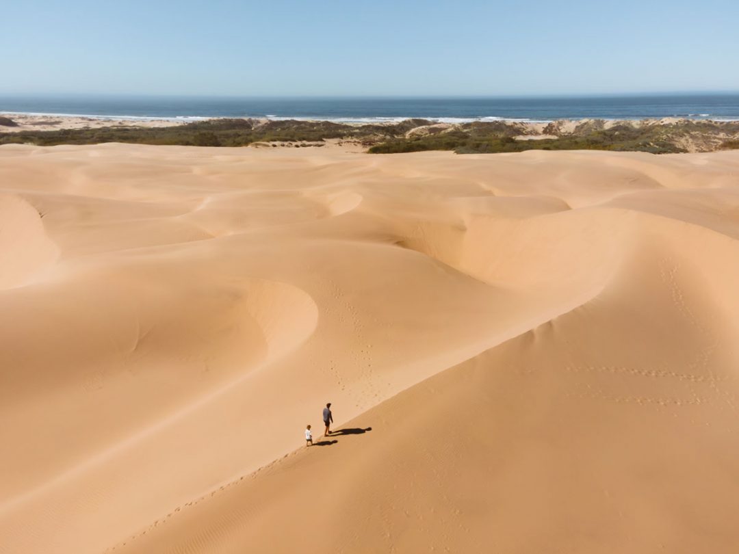 Oceano Dunes State Vehicular Recreation Area
