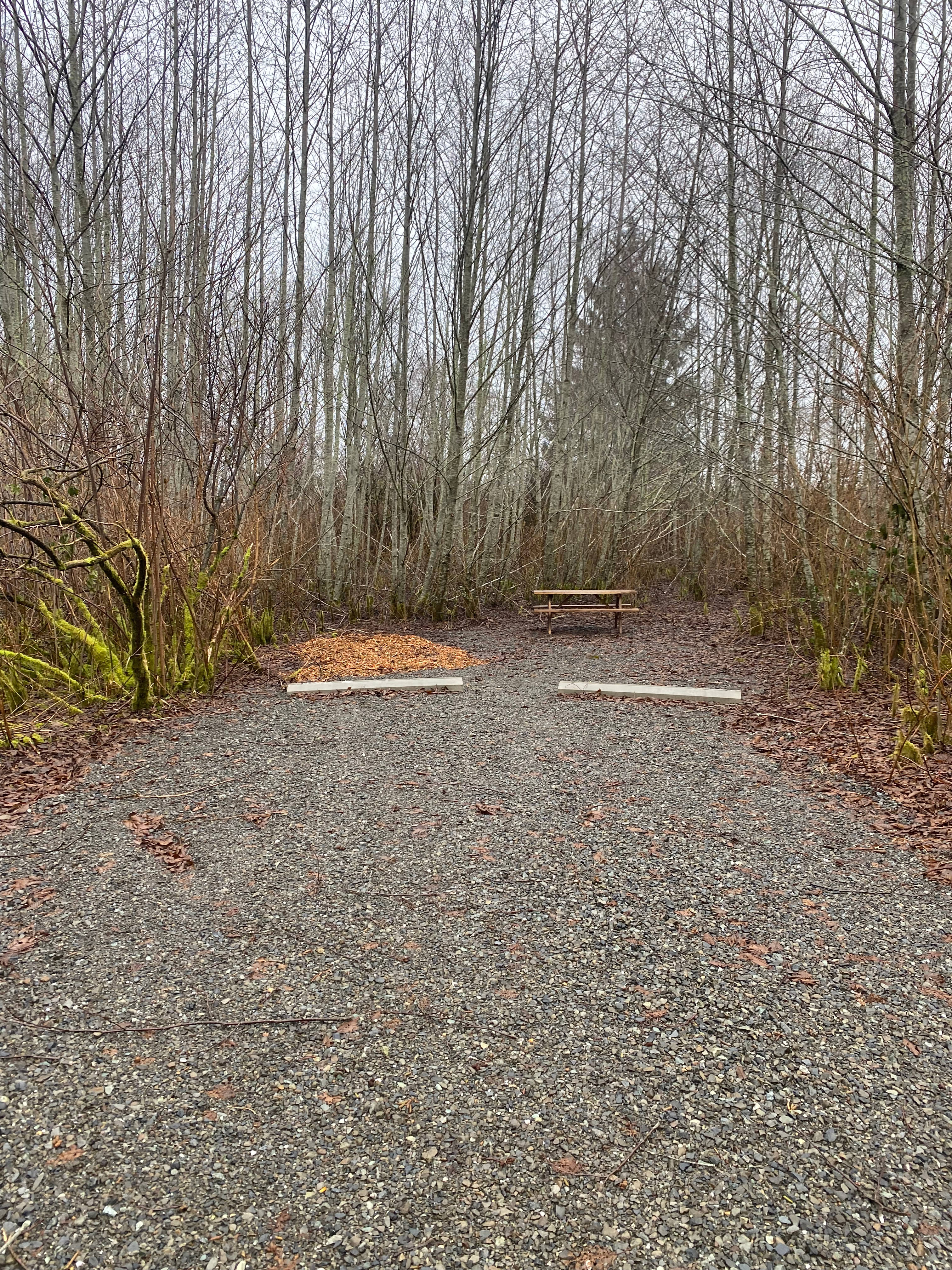 Campsite 2