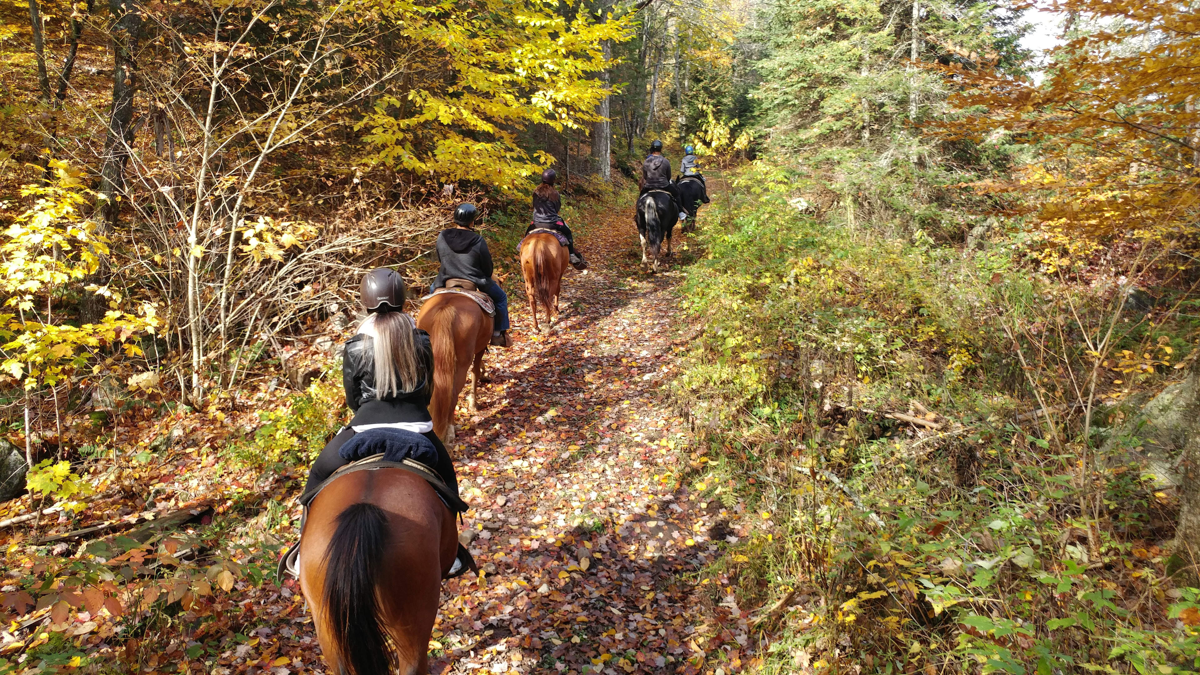 Kingscote Campsites - Algonquin