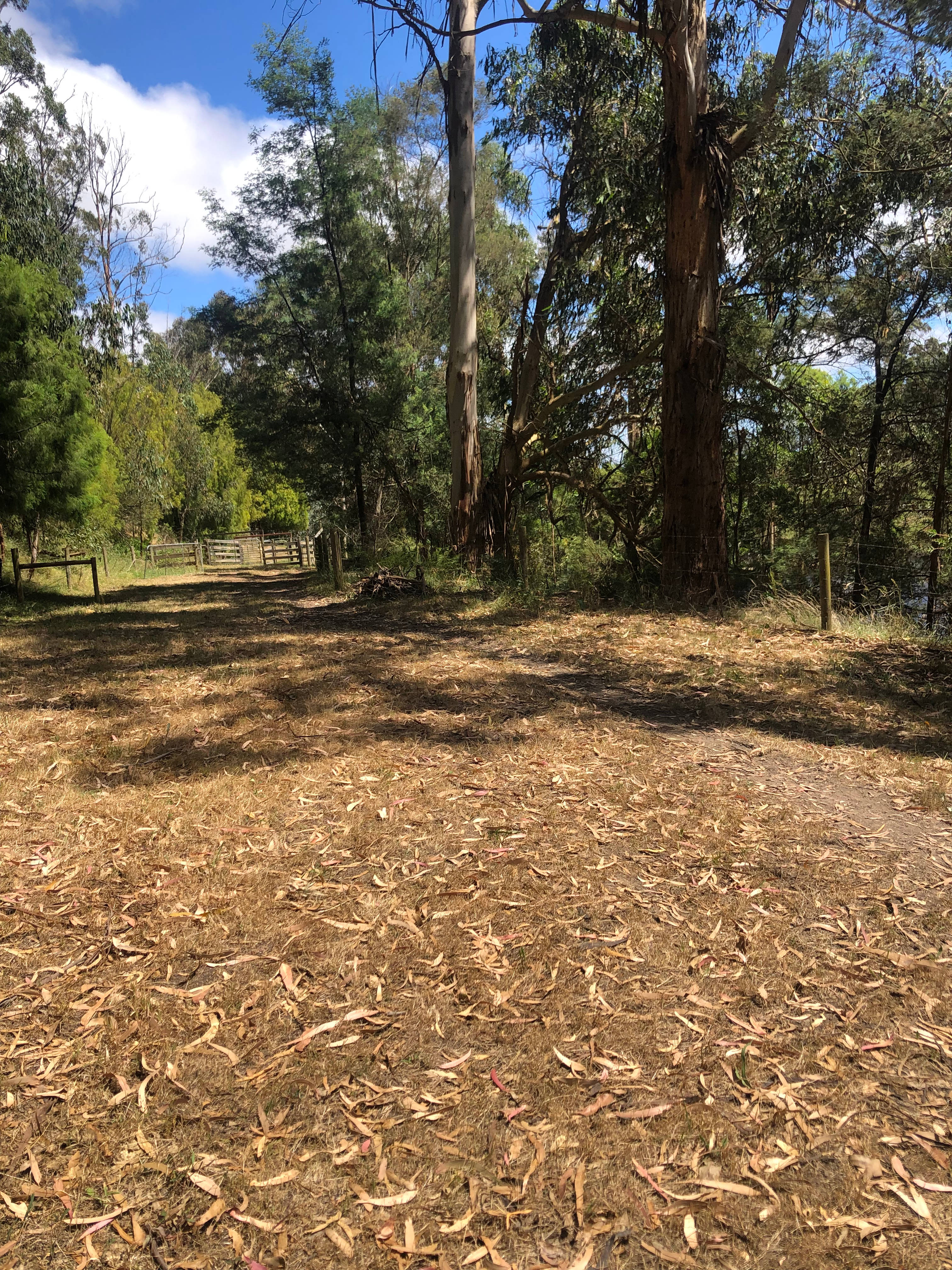 Camp spots next to dam