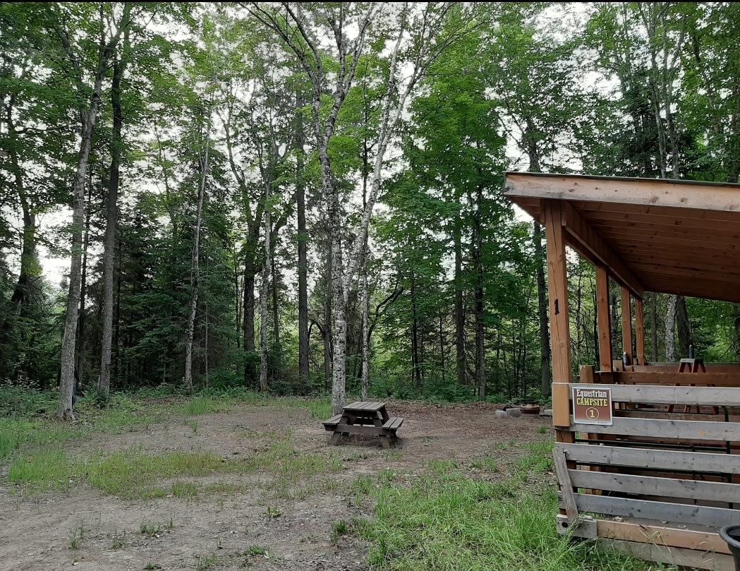 Kingscote Campsites - Algonquin