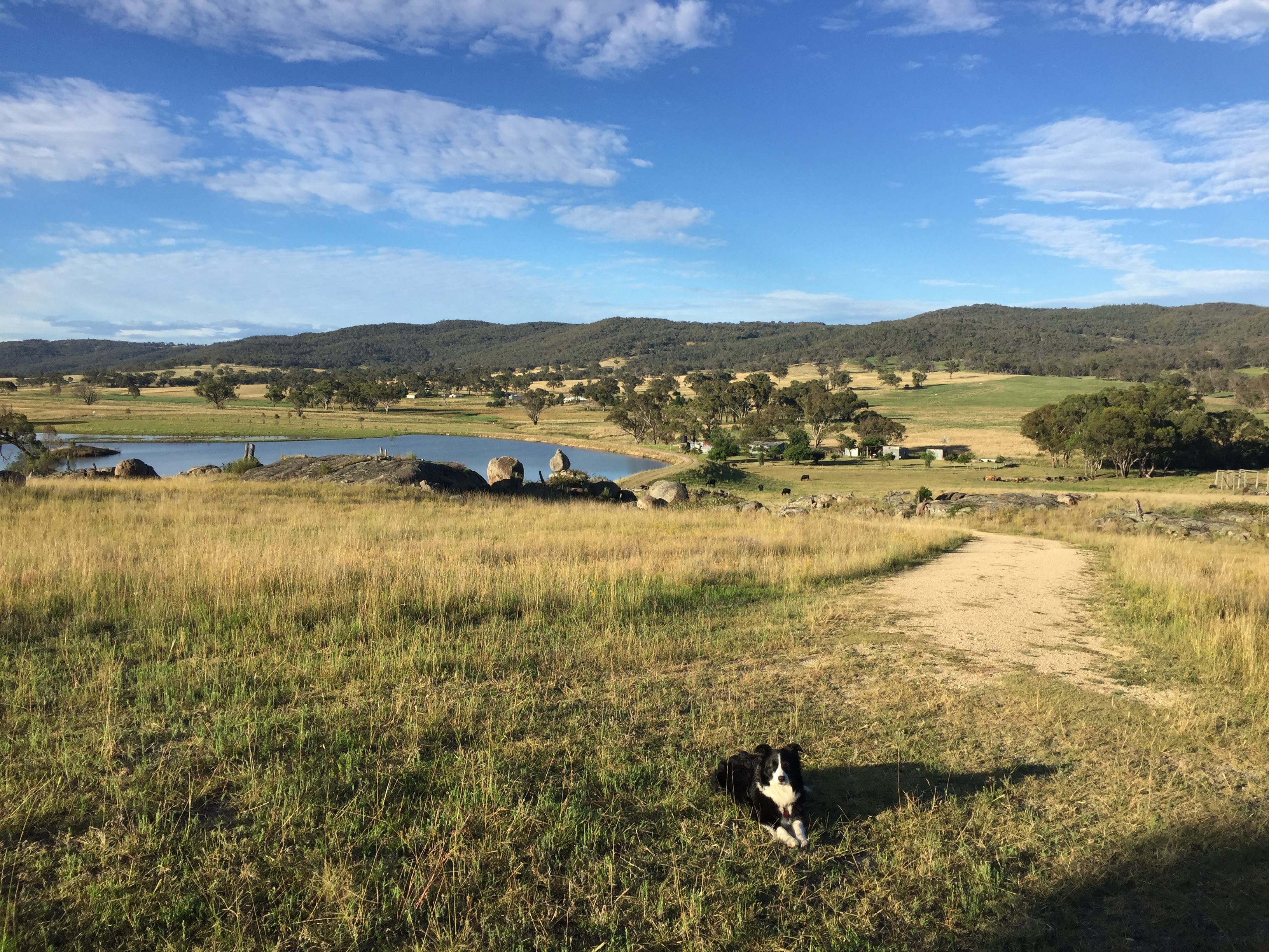 Overlooking the valley