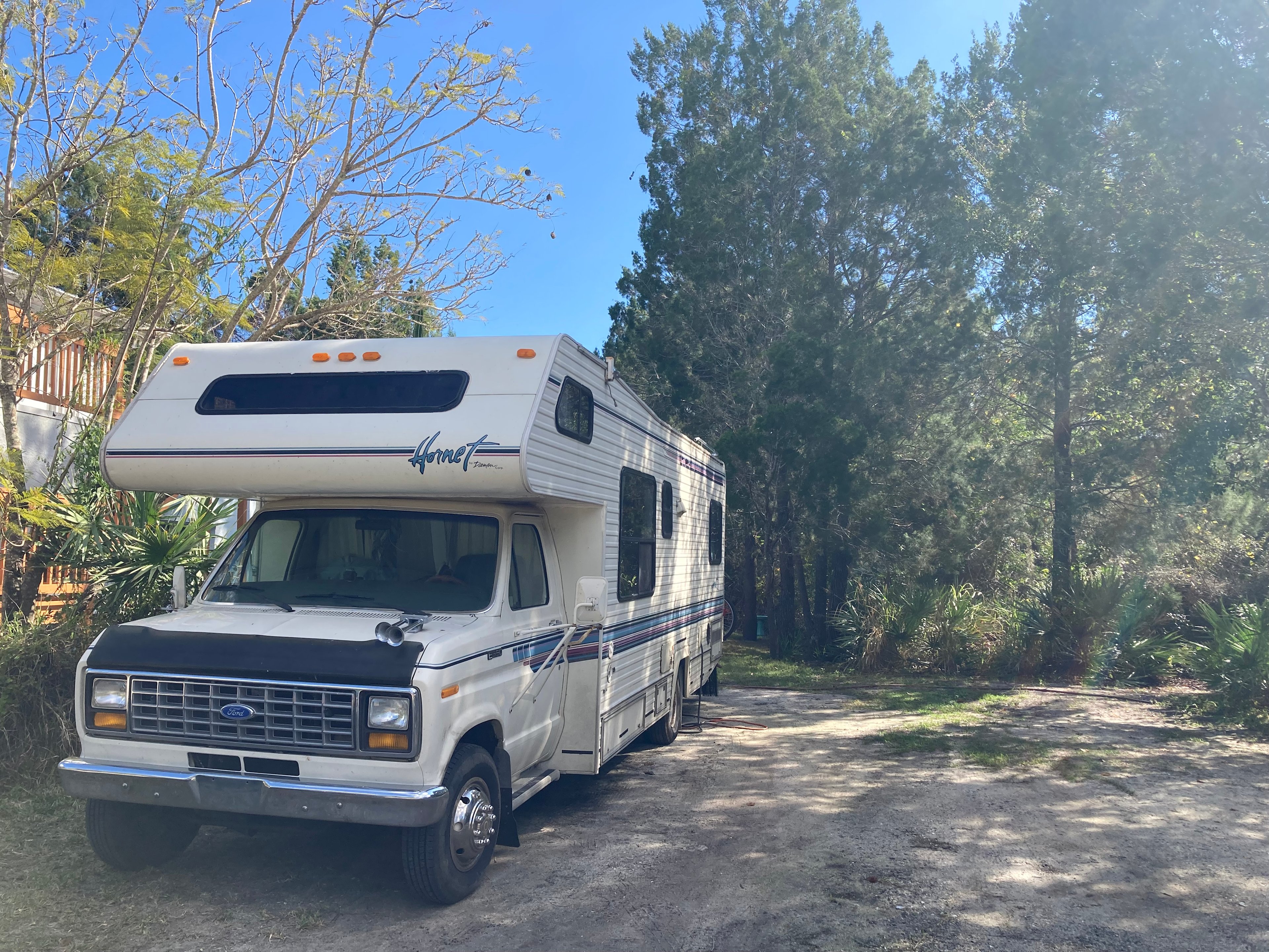 Pine Tree Paradise