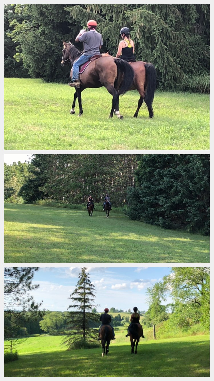 Peaceful Farm Camping Near Toronto