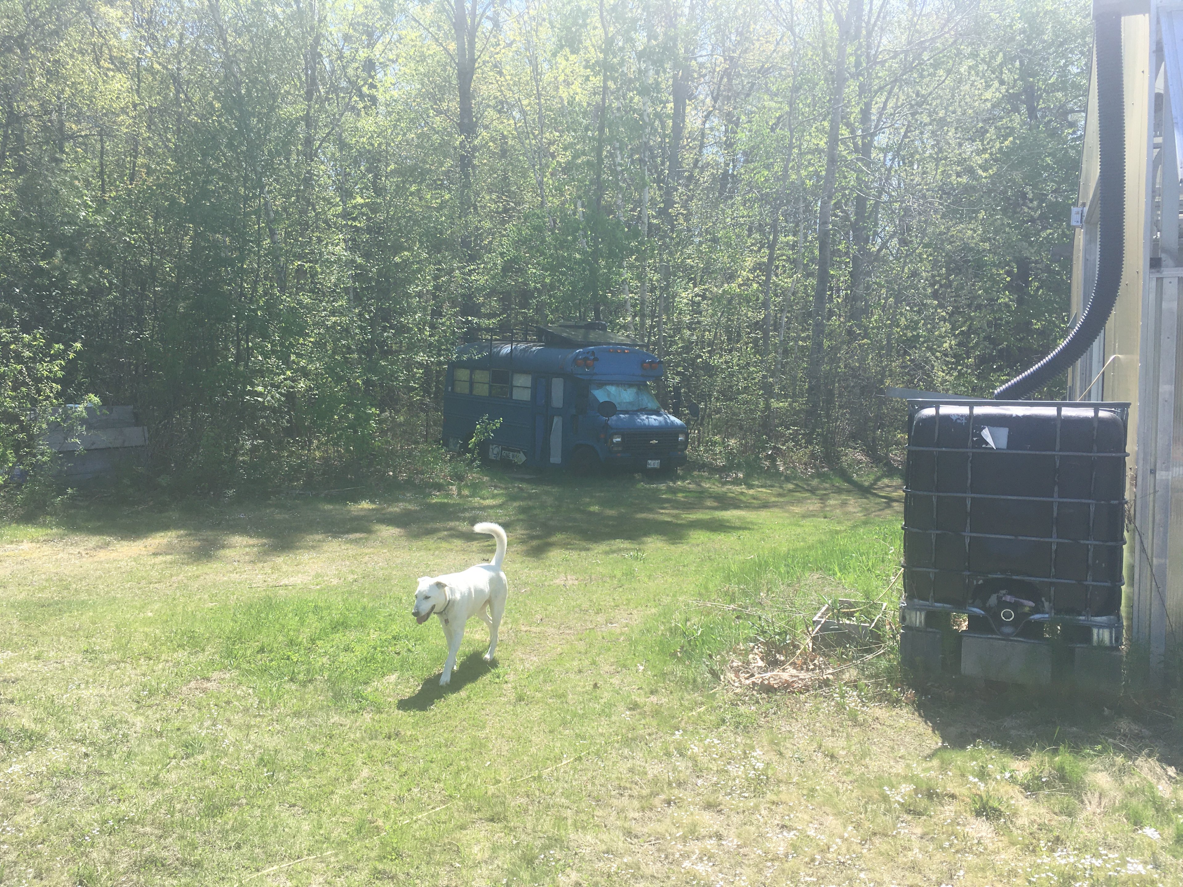 Insulated Tiny Cabin