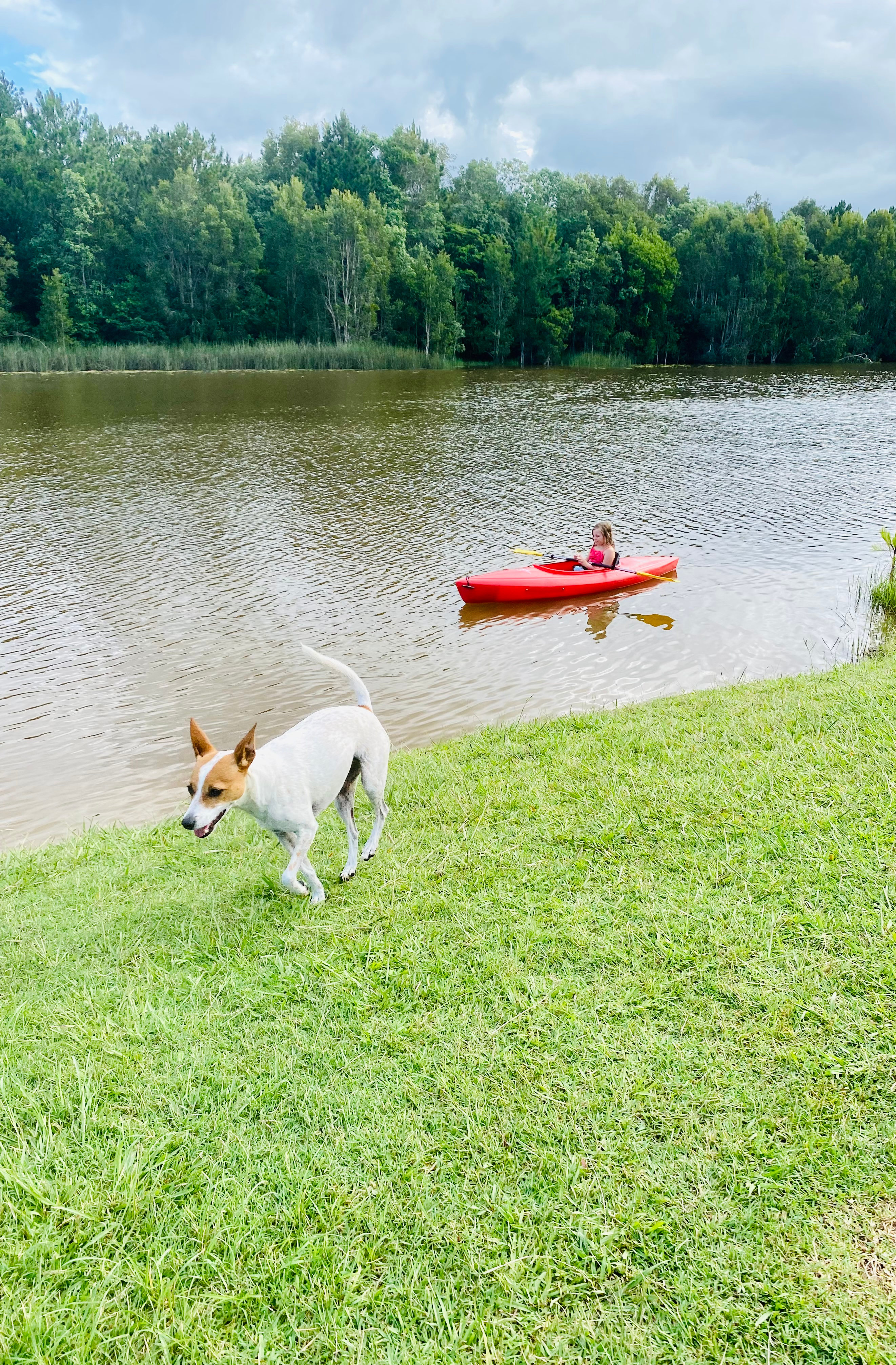 Bushywood at Woodfordskilake