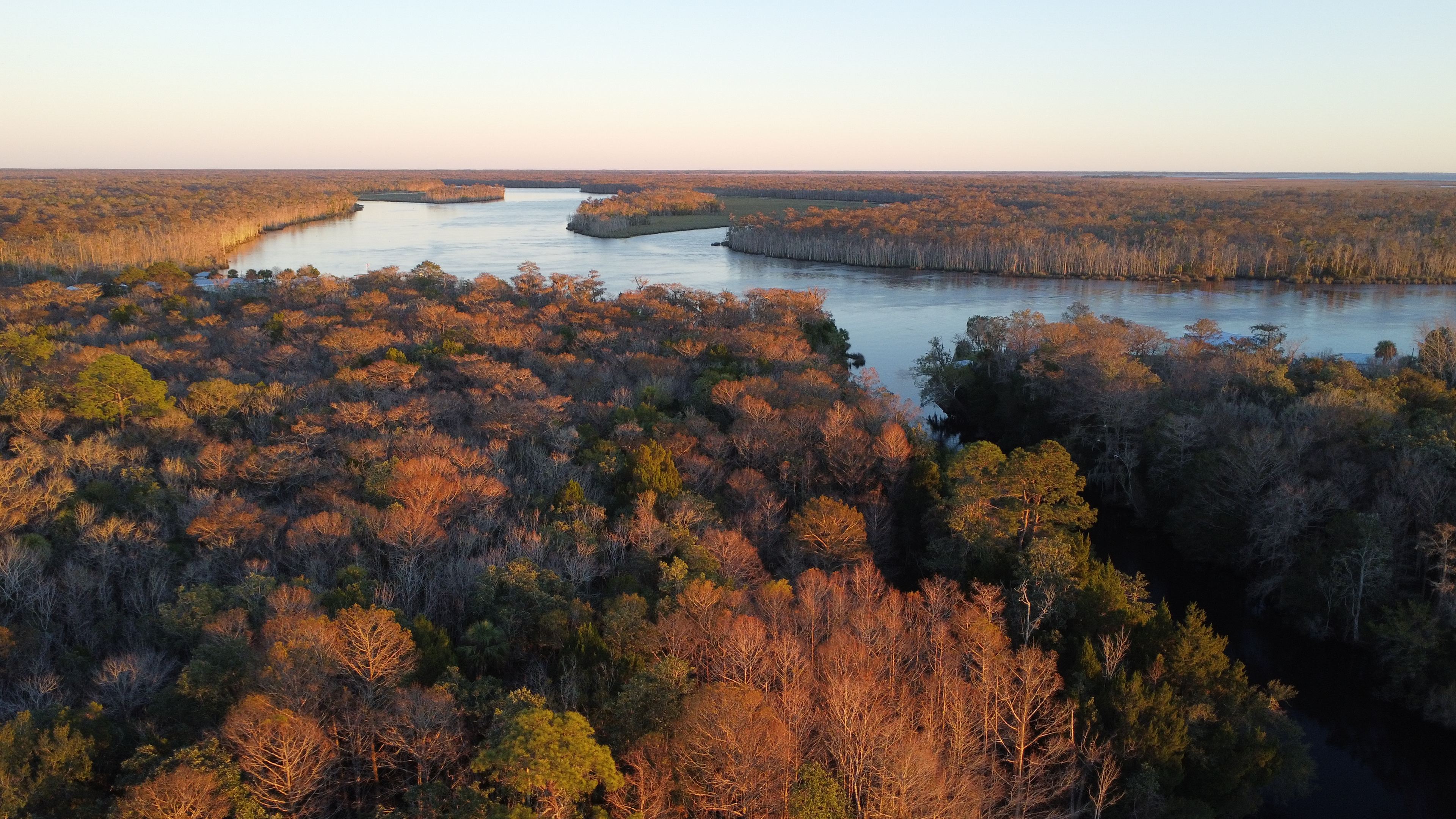 Suwanee River From Above