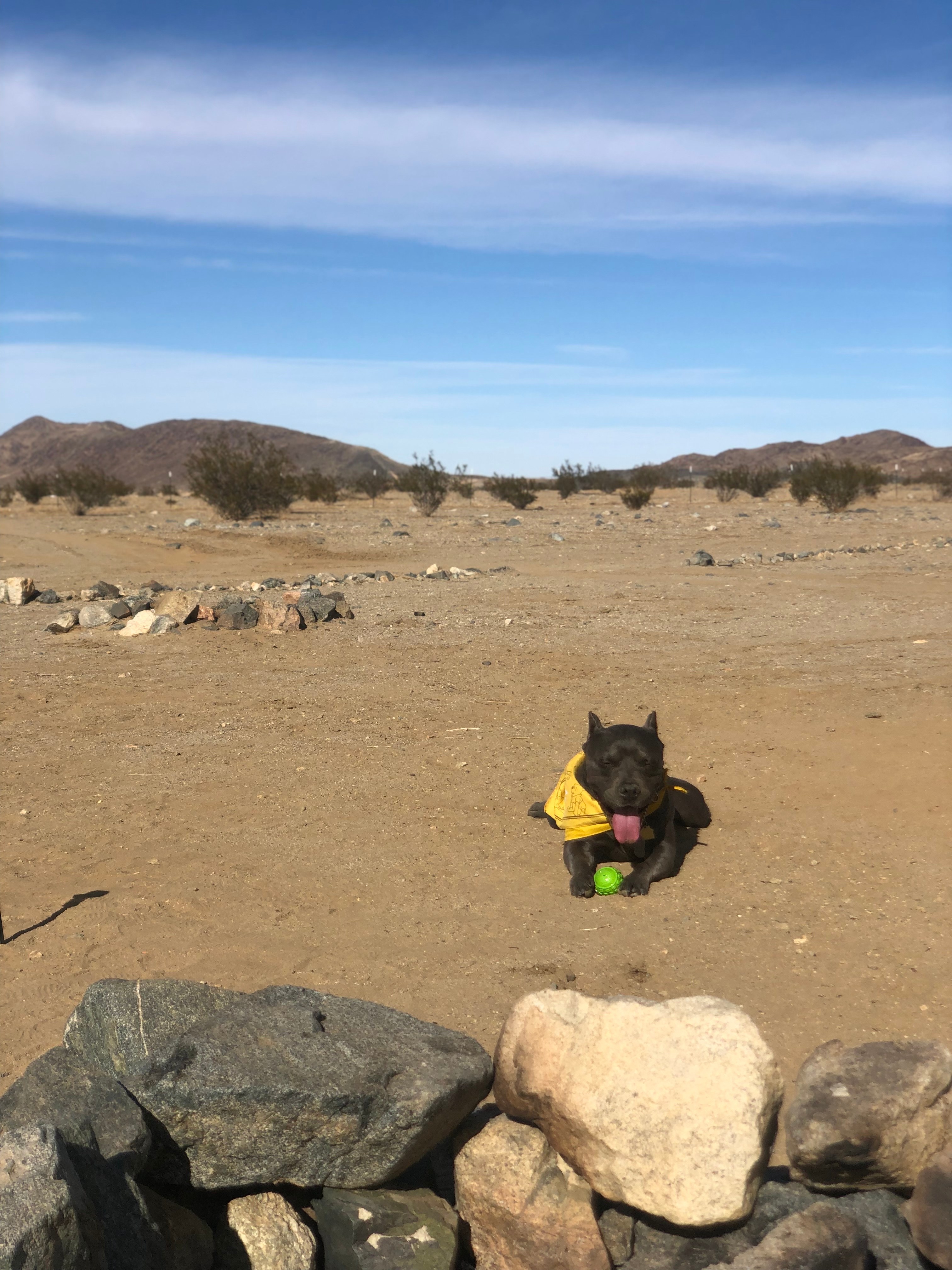 Private 40 Acre Primitive Camp