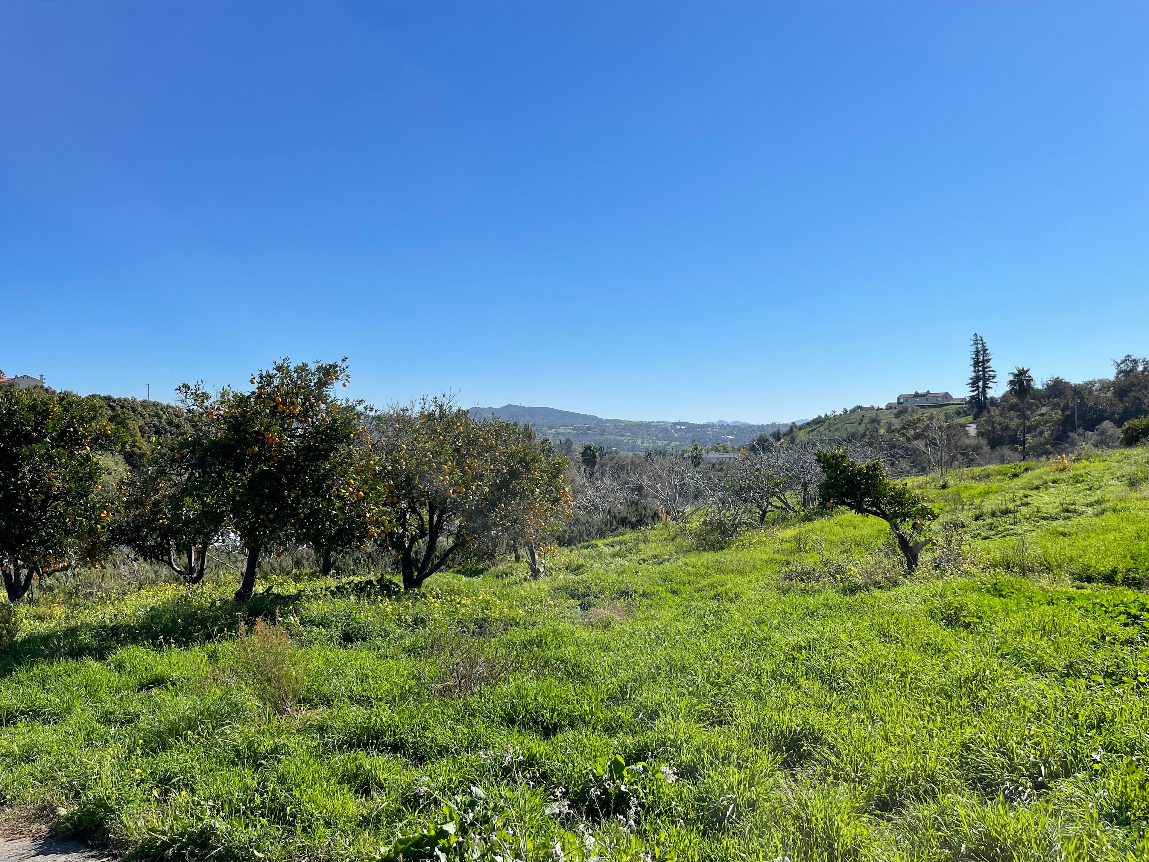 Morro Hills - Dark Sky Dry Camp/RV