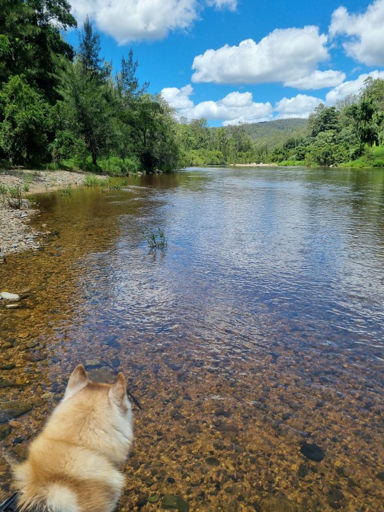 Eagle Ridge Bush Retreat