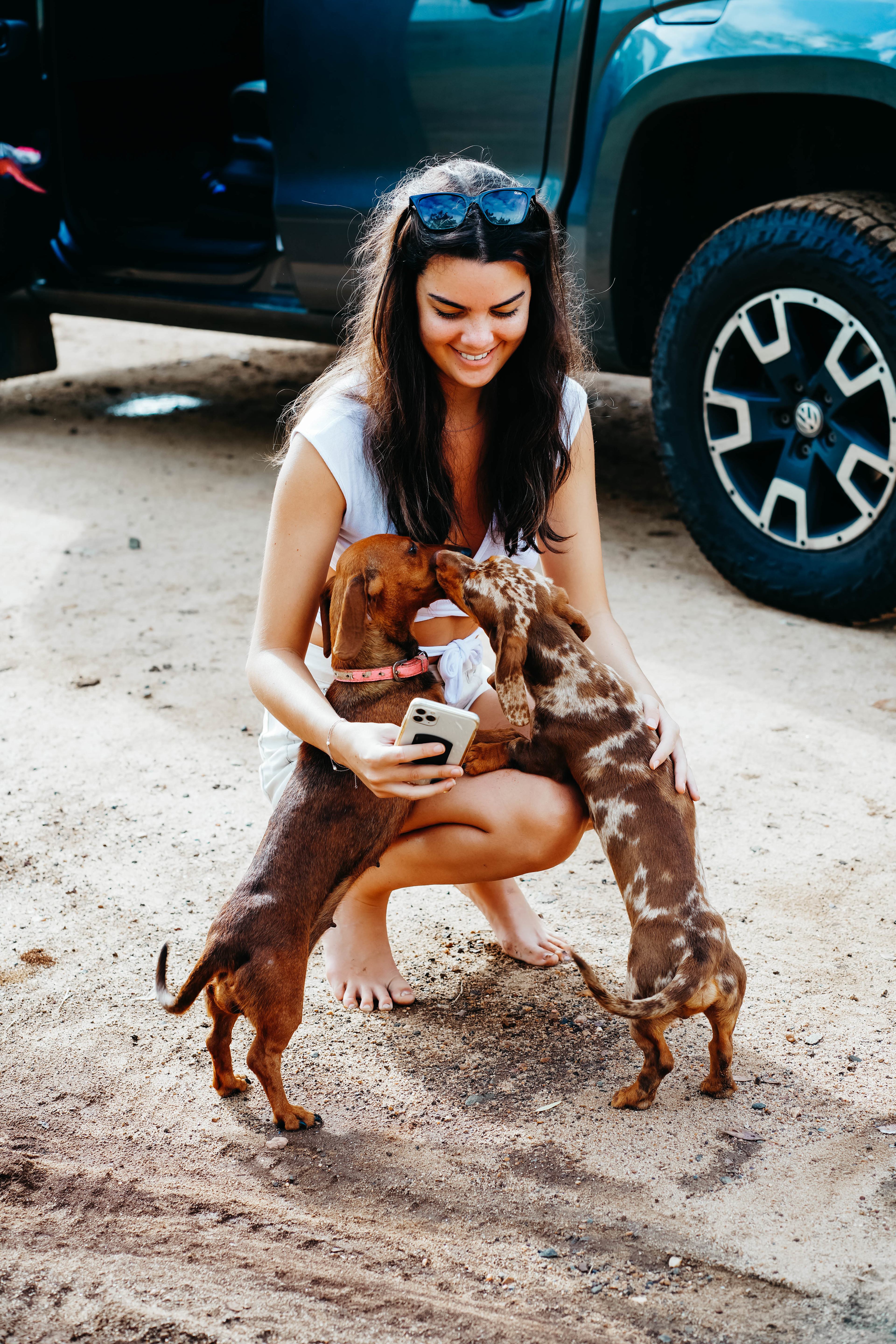 some of the host's cute and friendly sausage dogs