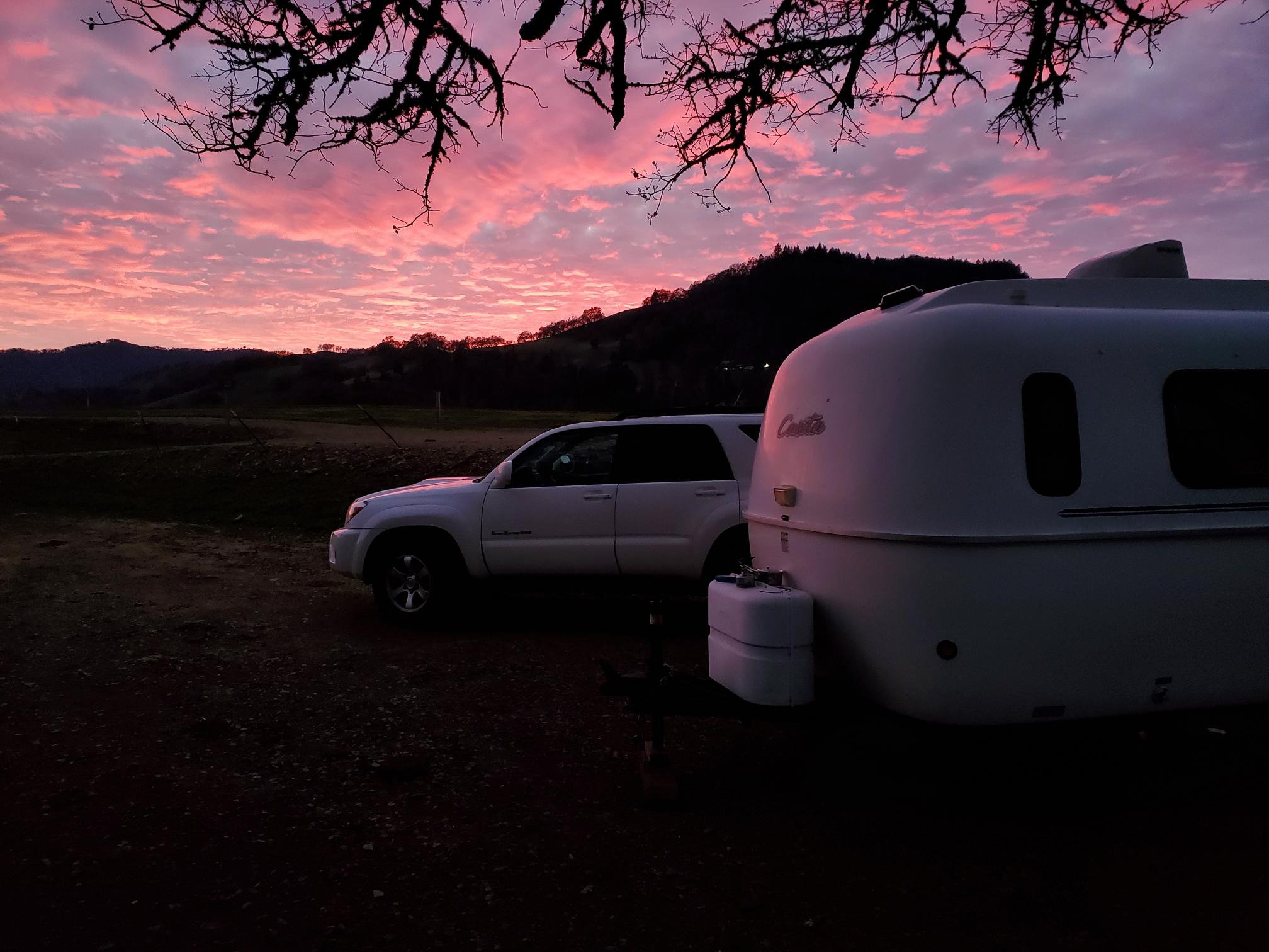 Nelson Family Vineyards