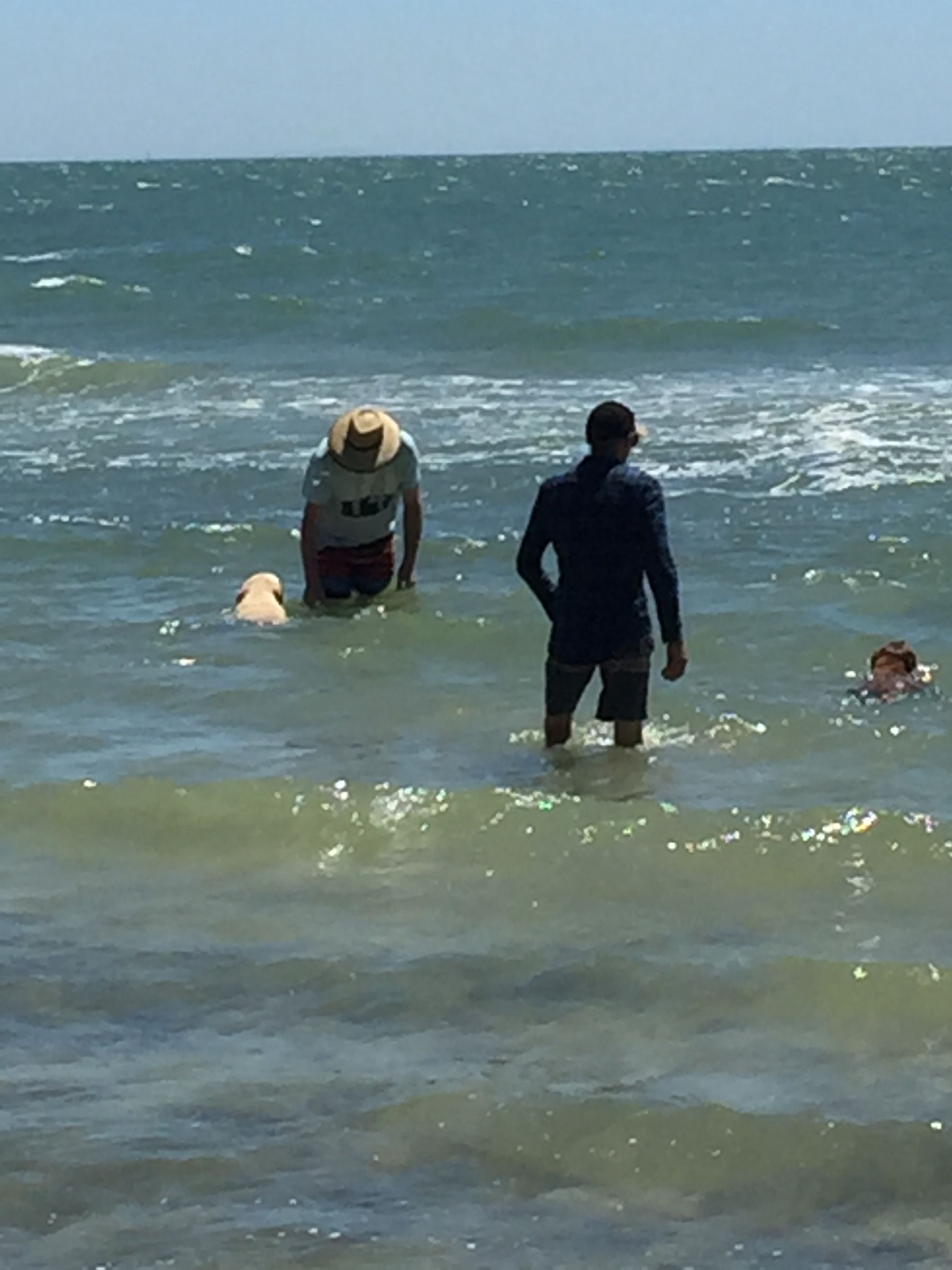 Shacks at Kardella Park