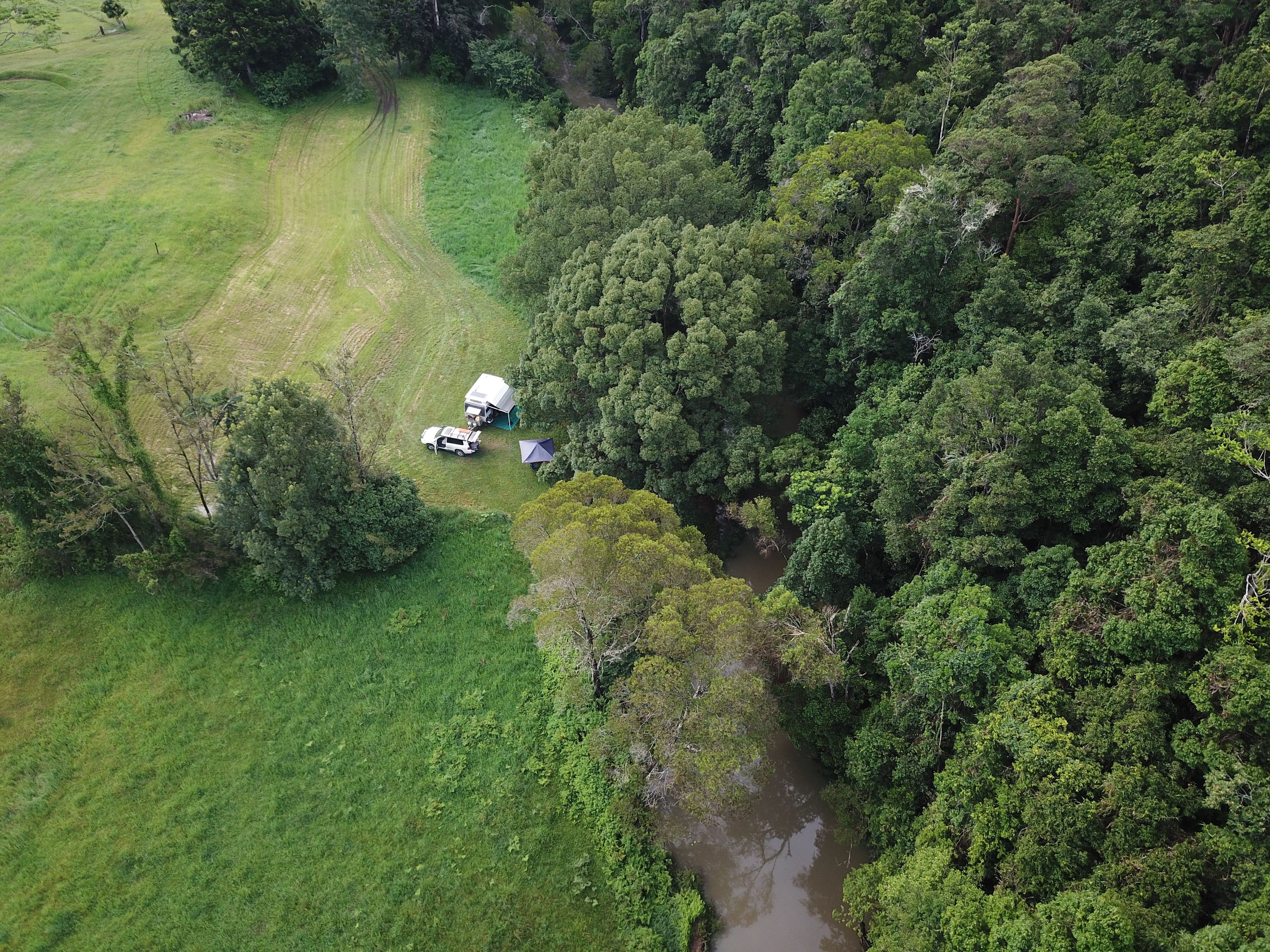 Rowlands Creek Camp Area