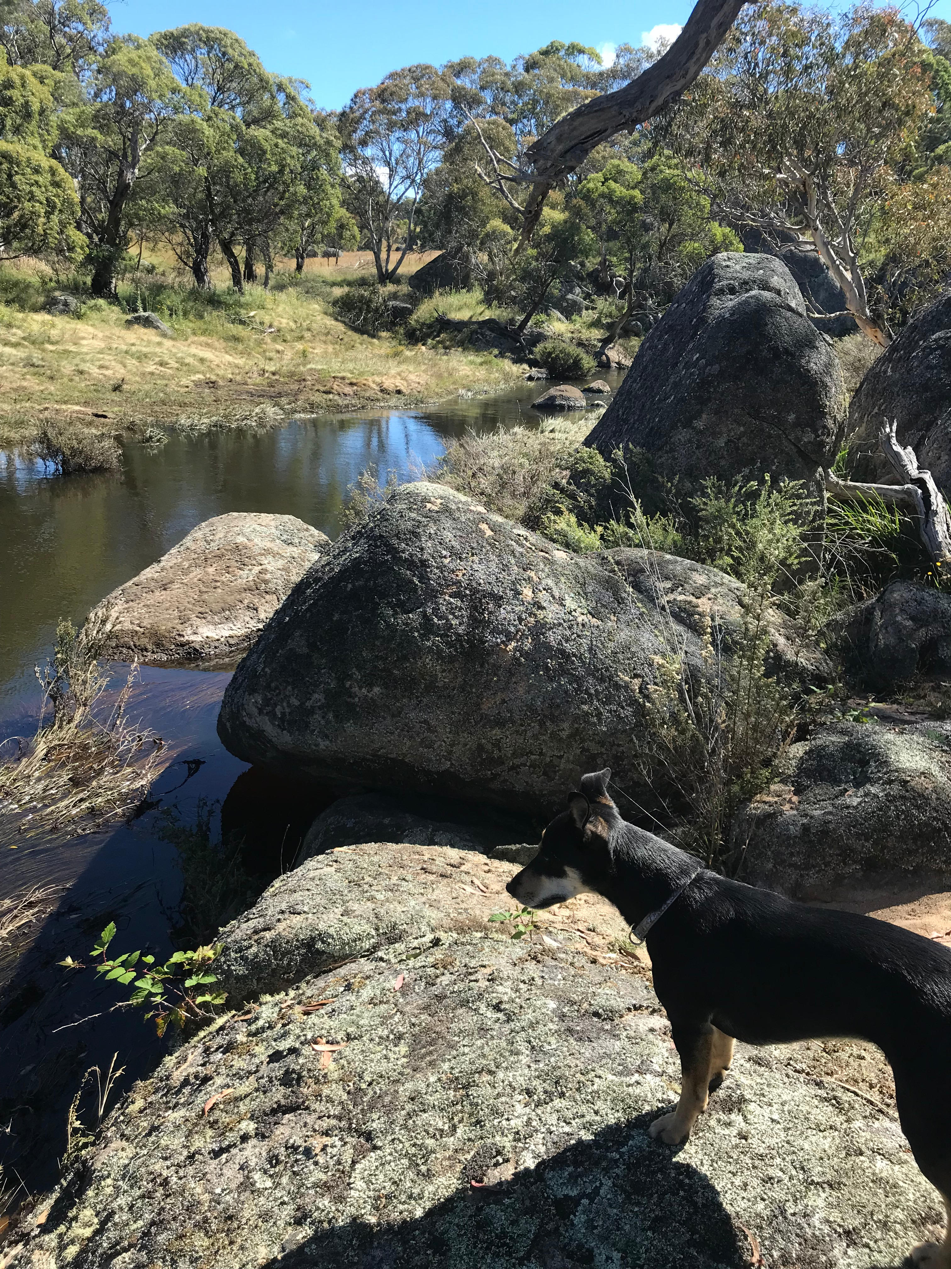 Total serenity