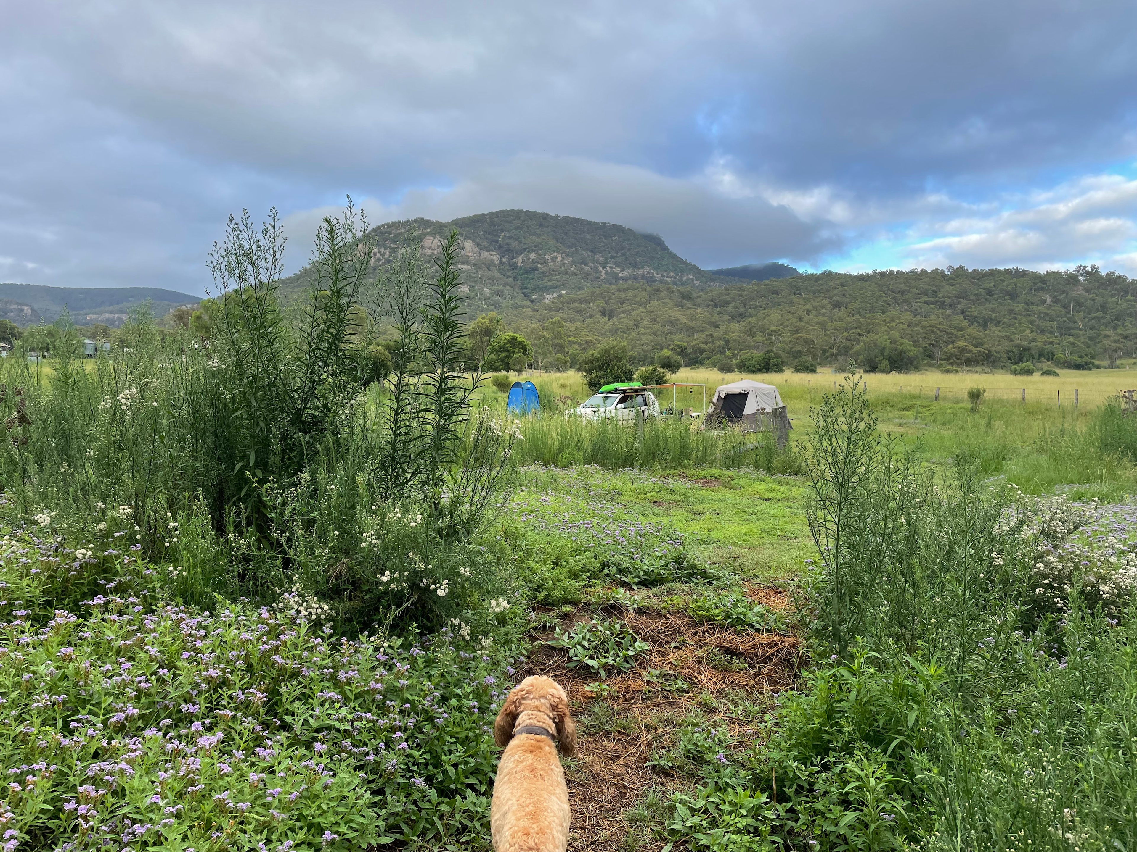 View walking up from the Creek to my campsite.
