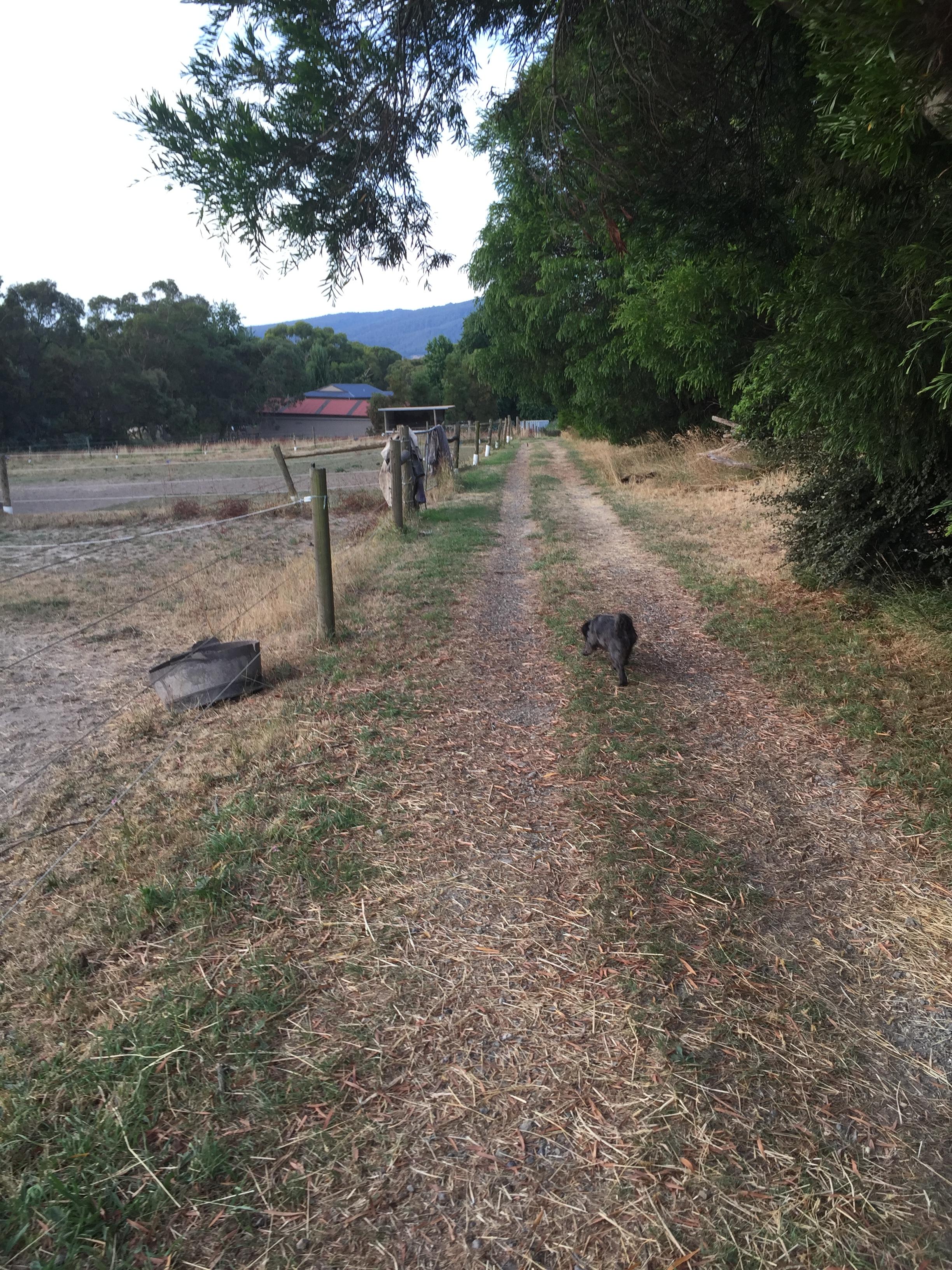 Walk within the premises