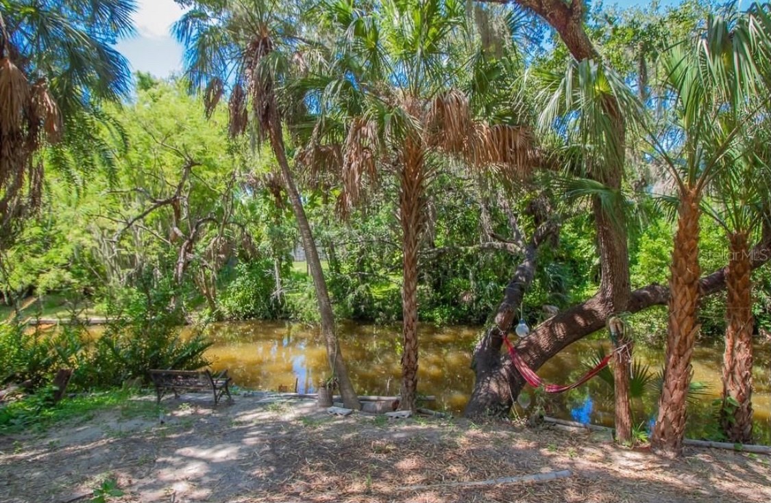 Bayou Bliss