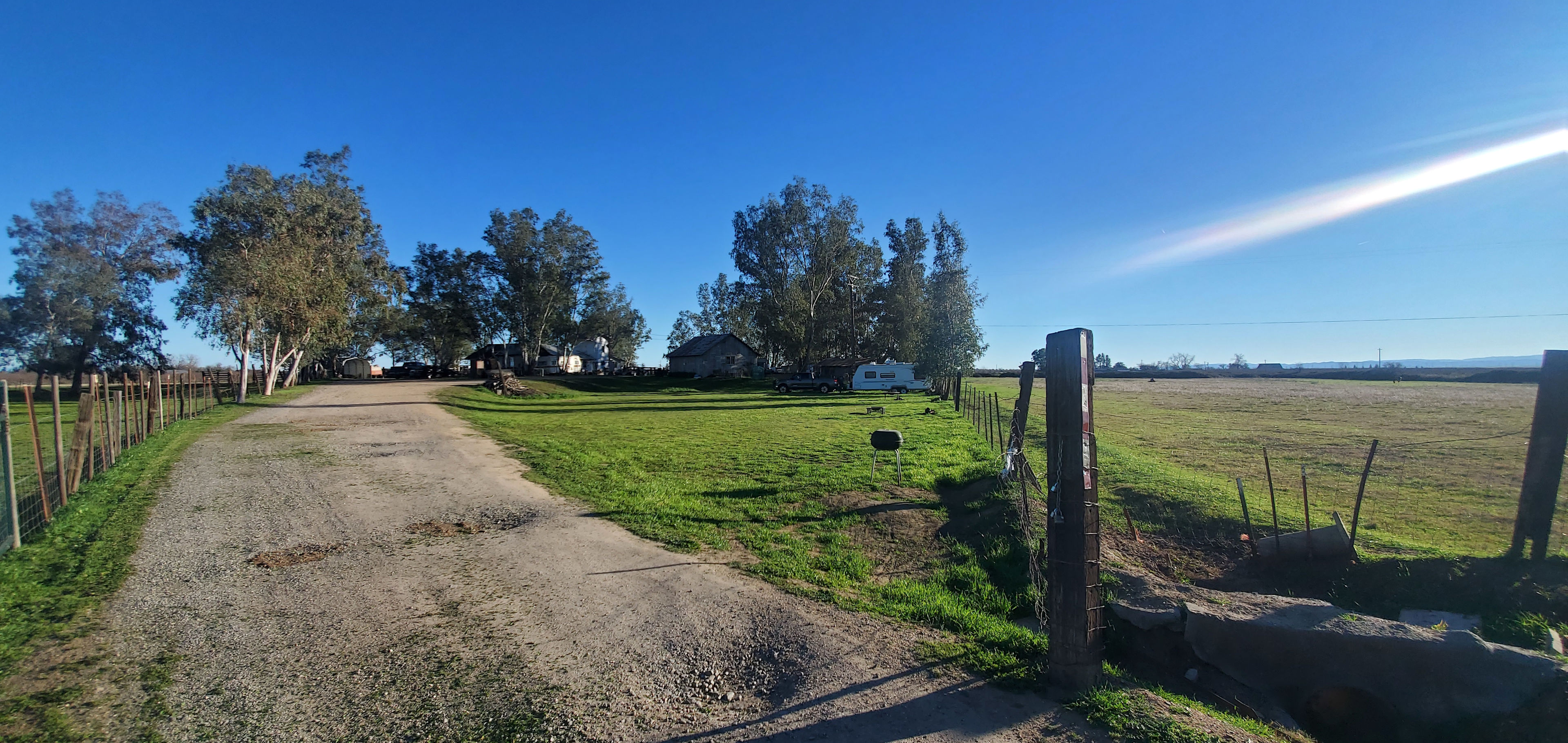 Websters Farm