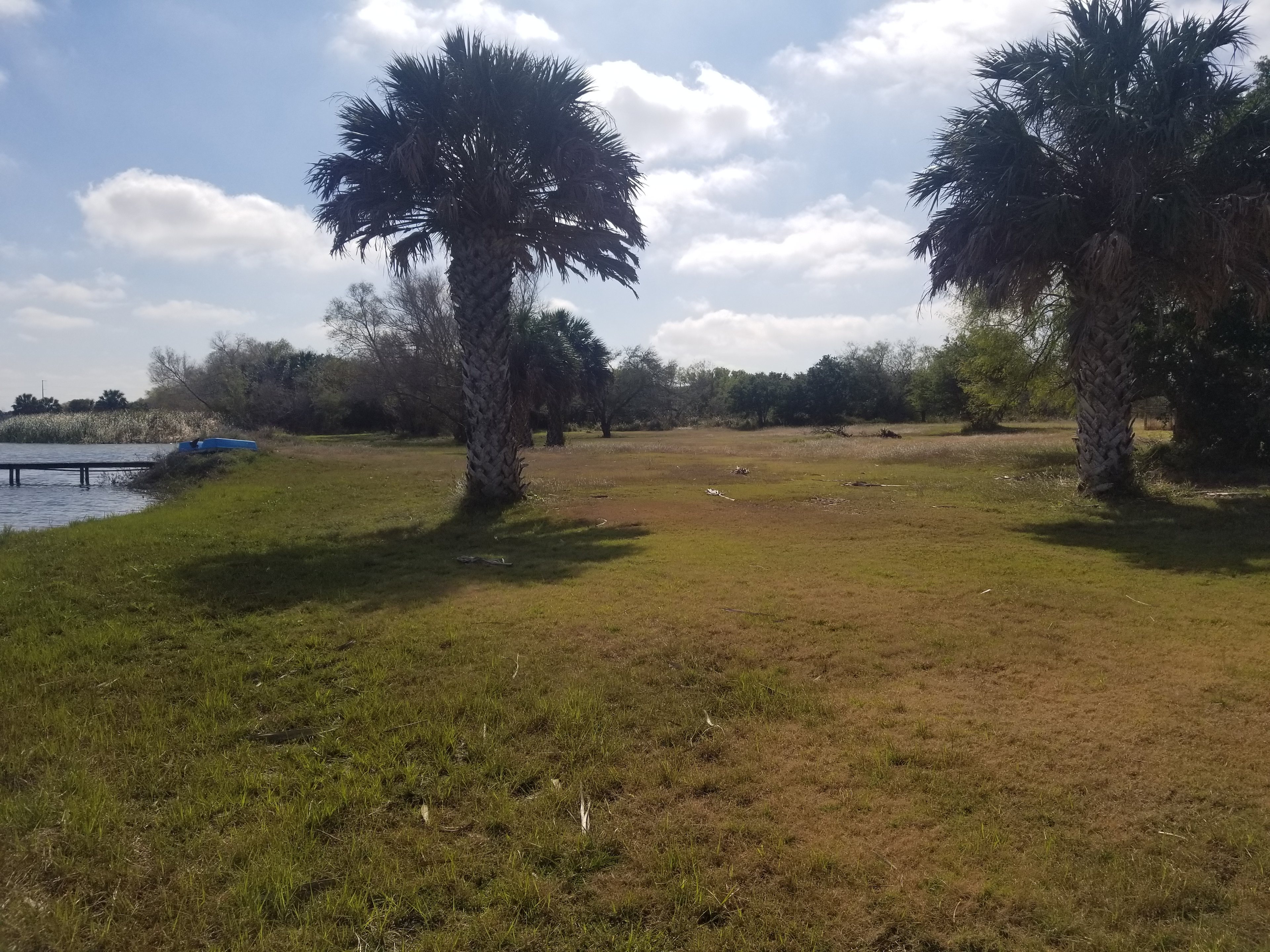 Winter view of lake and property