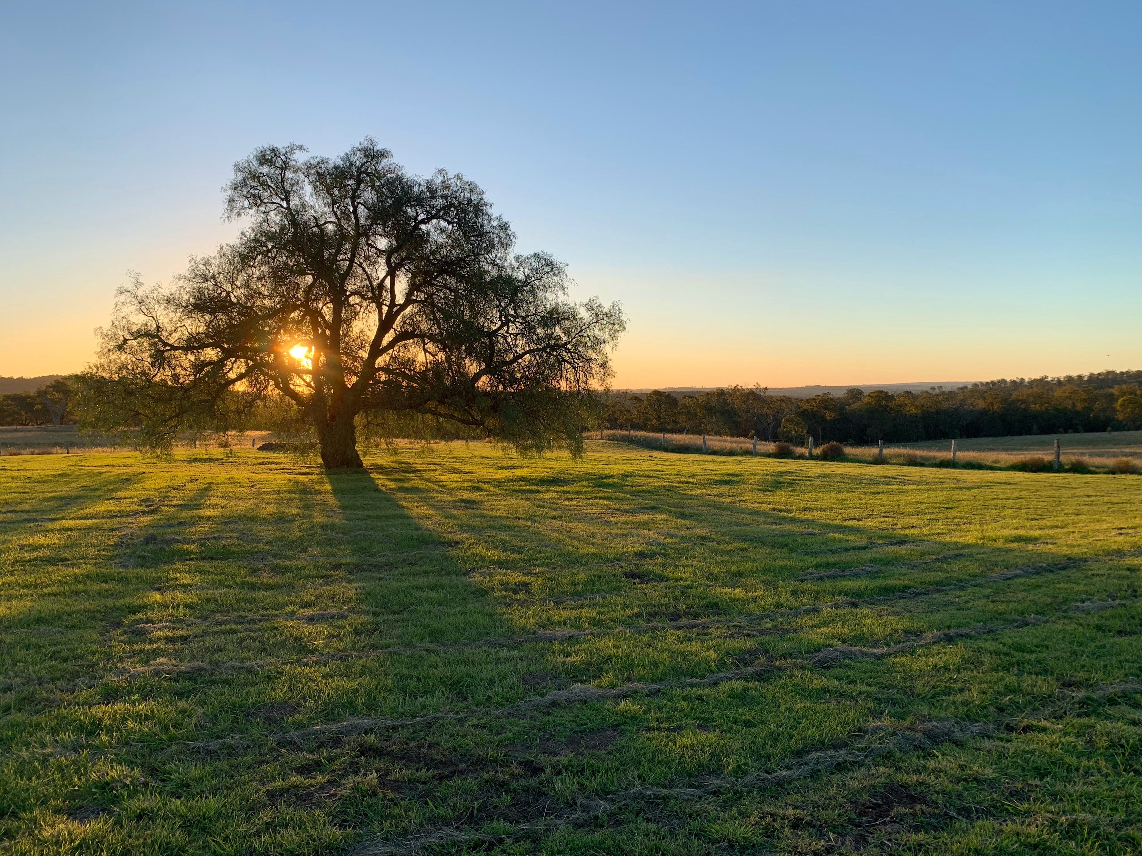 Sunset rays