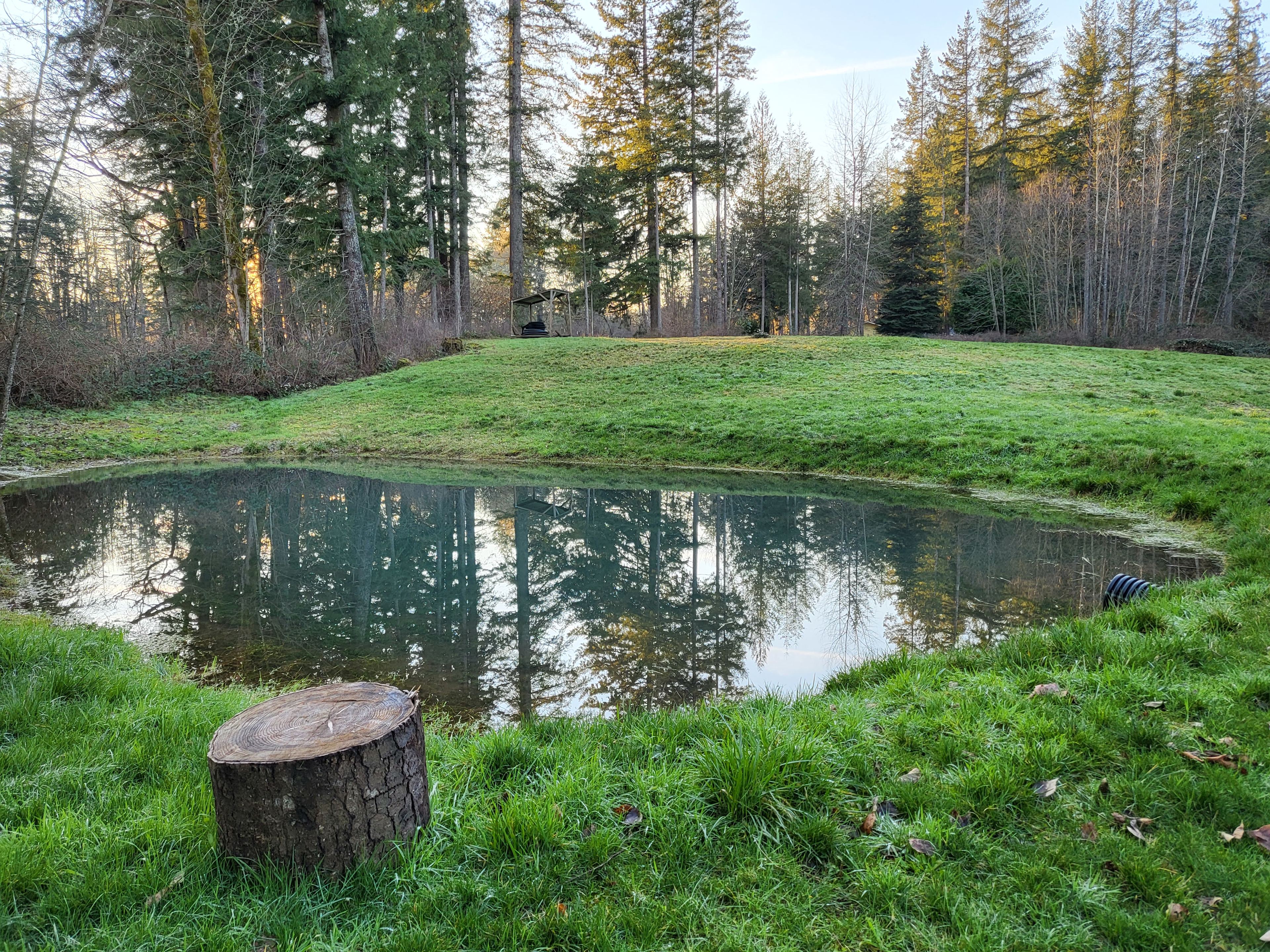 Another view of the seasonal pond.