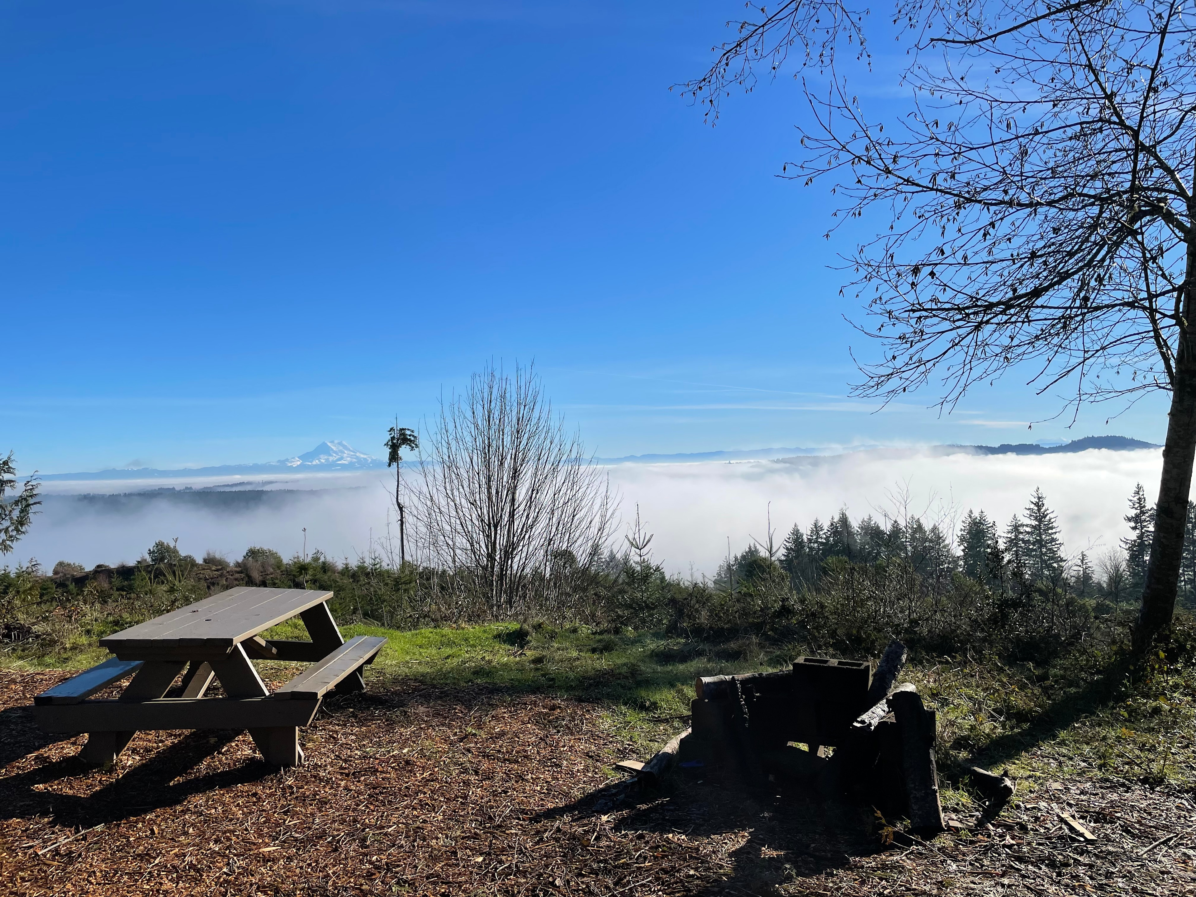 Hairy Eagle Lookout 🦅
