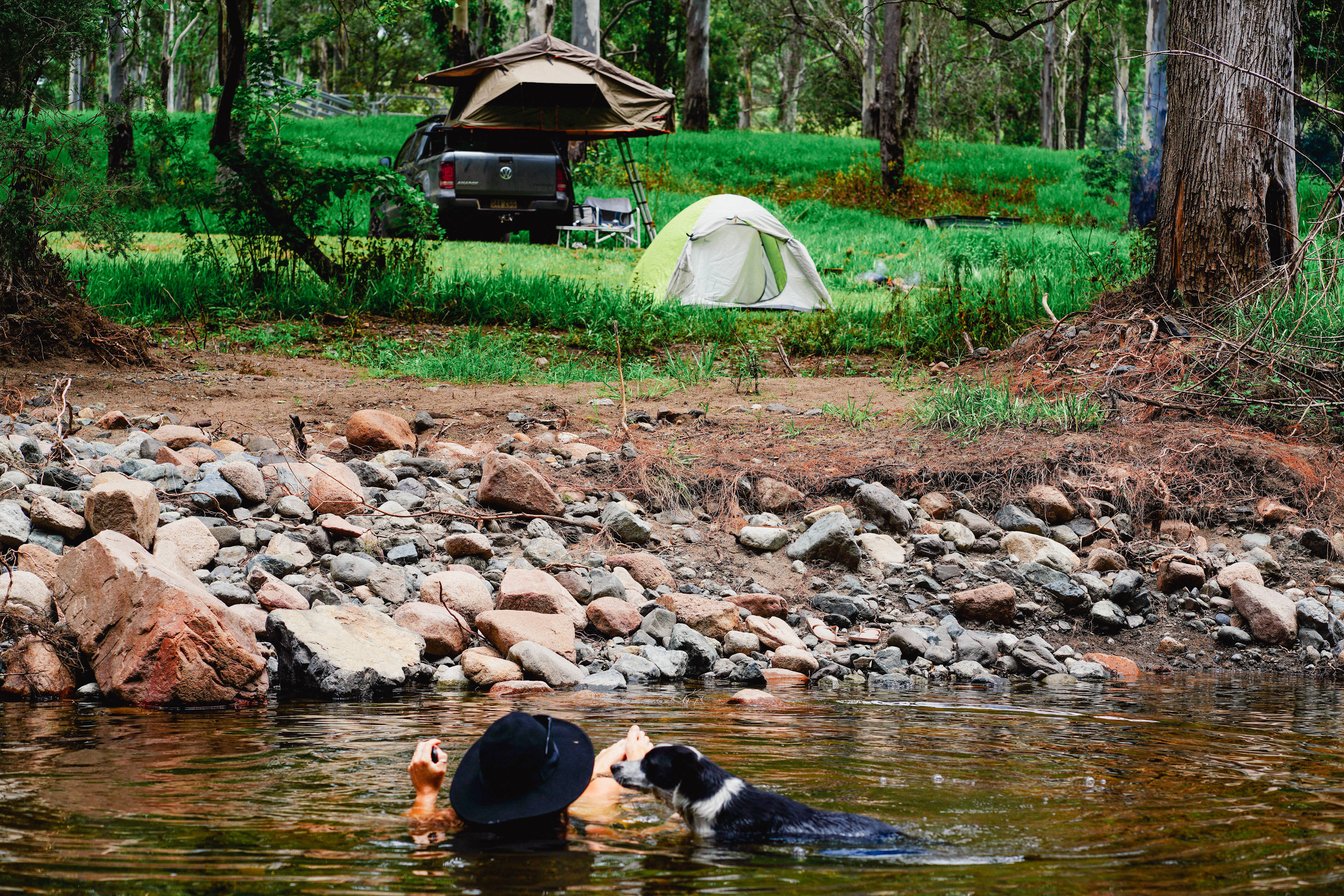 taking a dip with the doggo