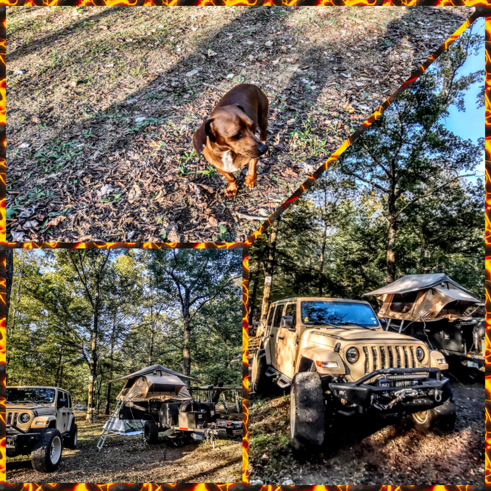 Fancy Hill Cabins and RV Park LLC
