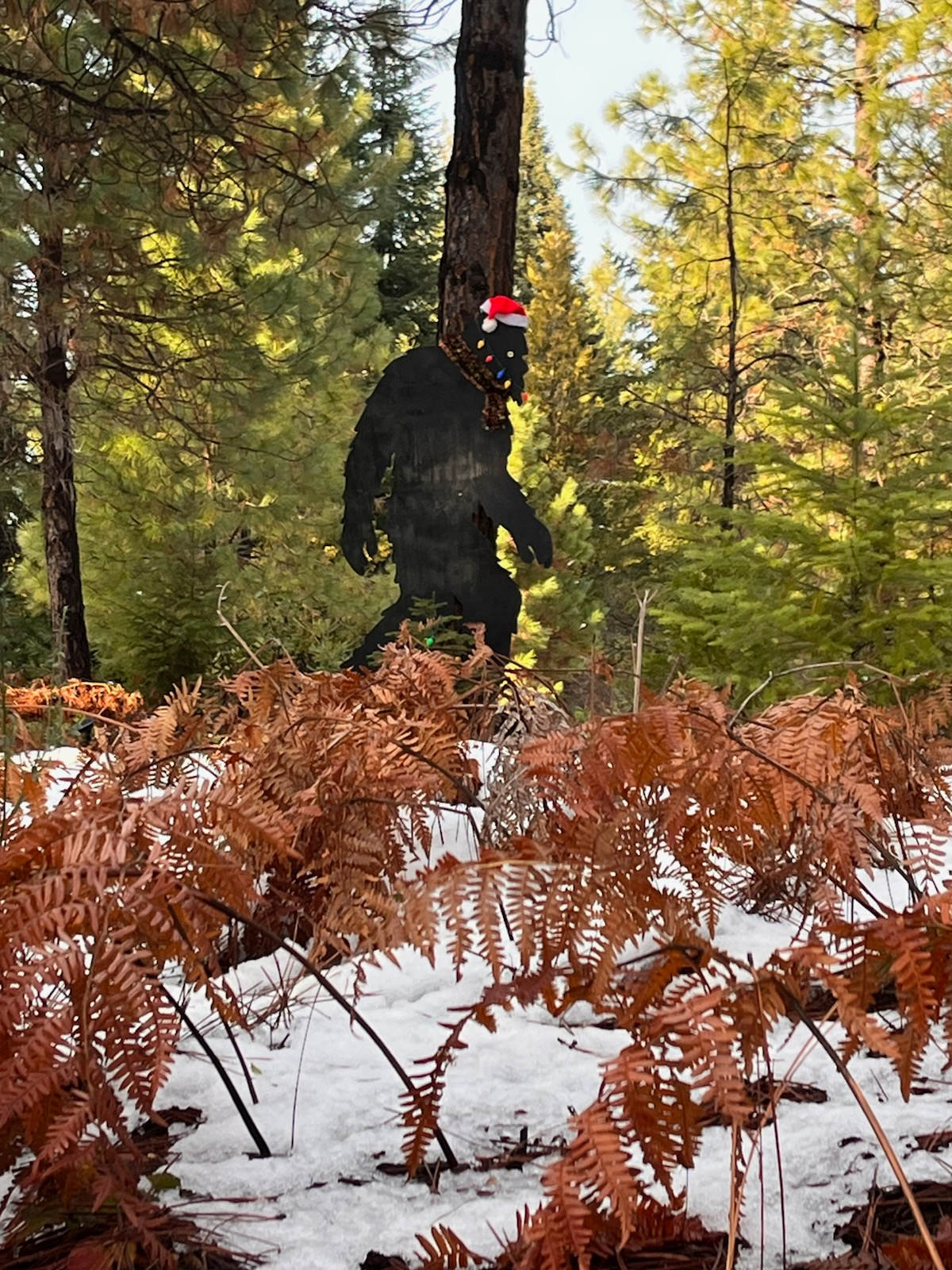 Sasquatch. Stay right of Sasquatch to Dave’s camp
