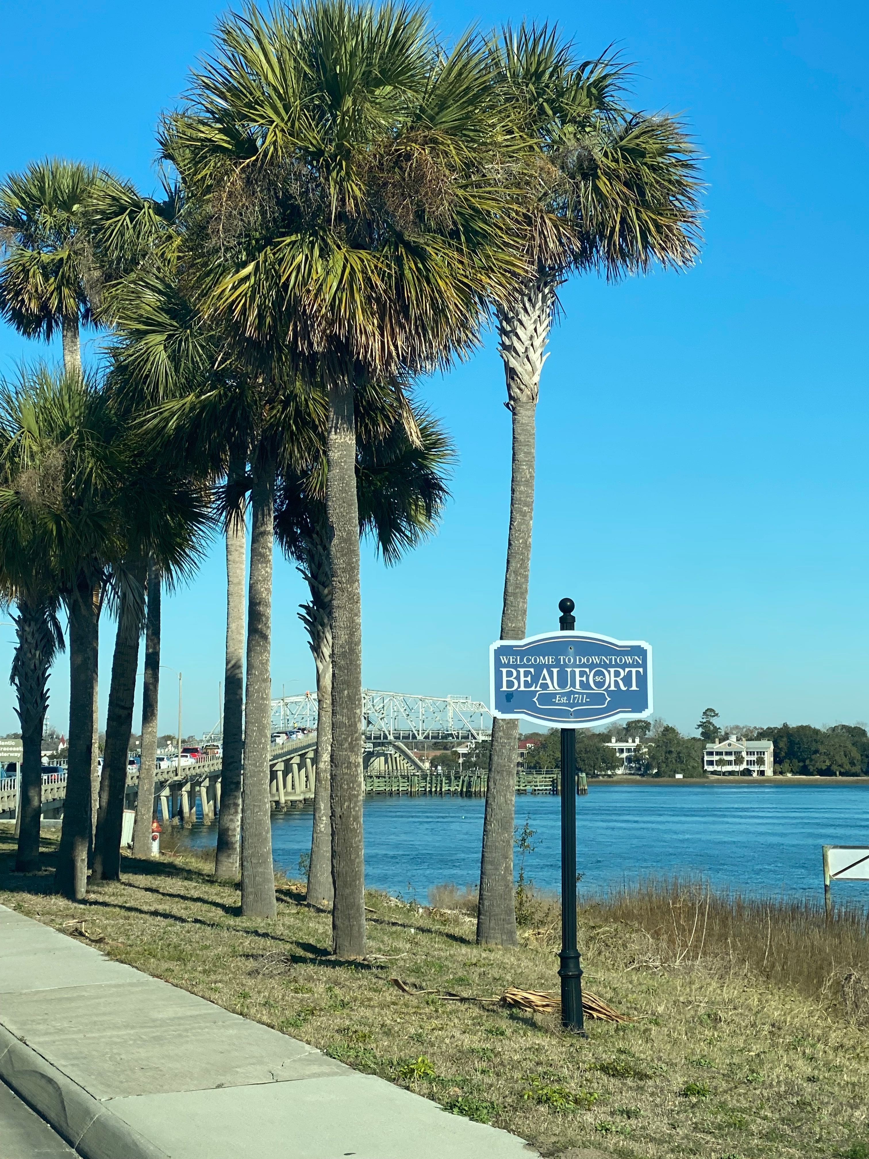 Lowcountry Live Oaks.