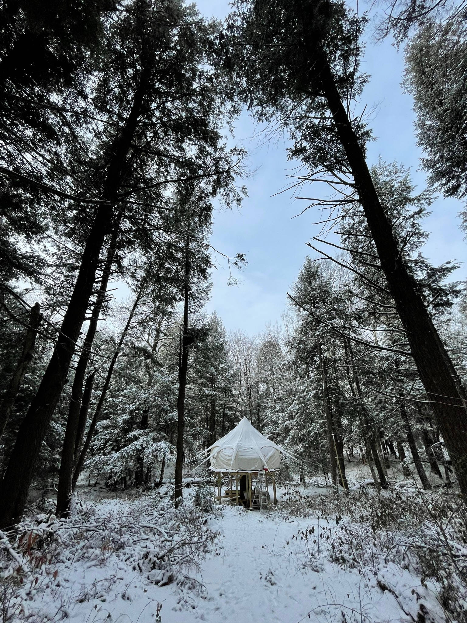 Luxury Belle Tent Camping