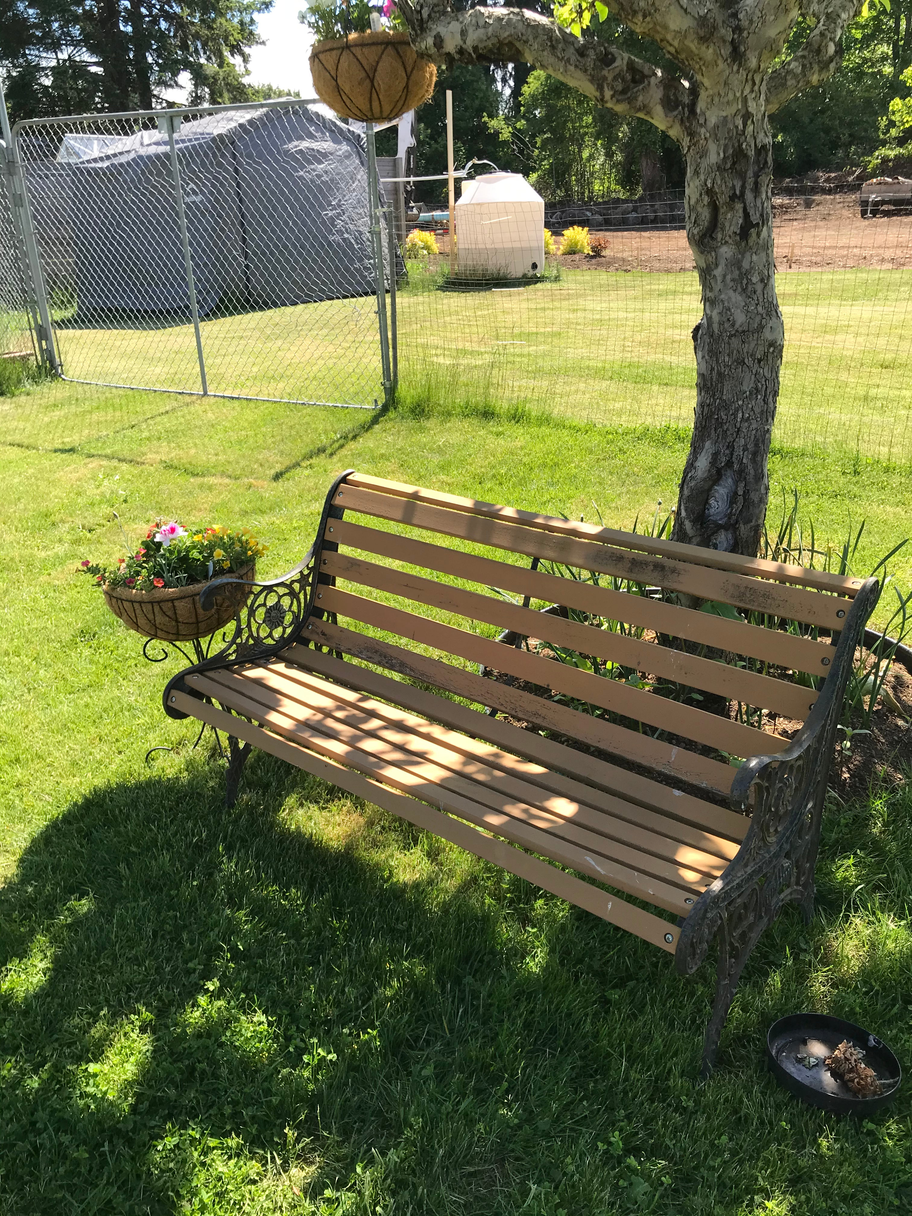 Set beneath the shade of our Apple tree on a hot summer day.