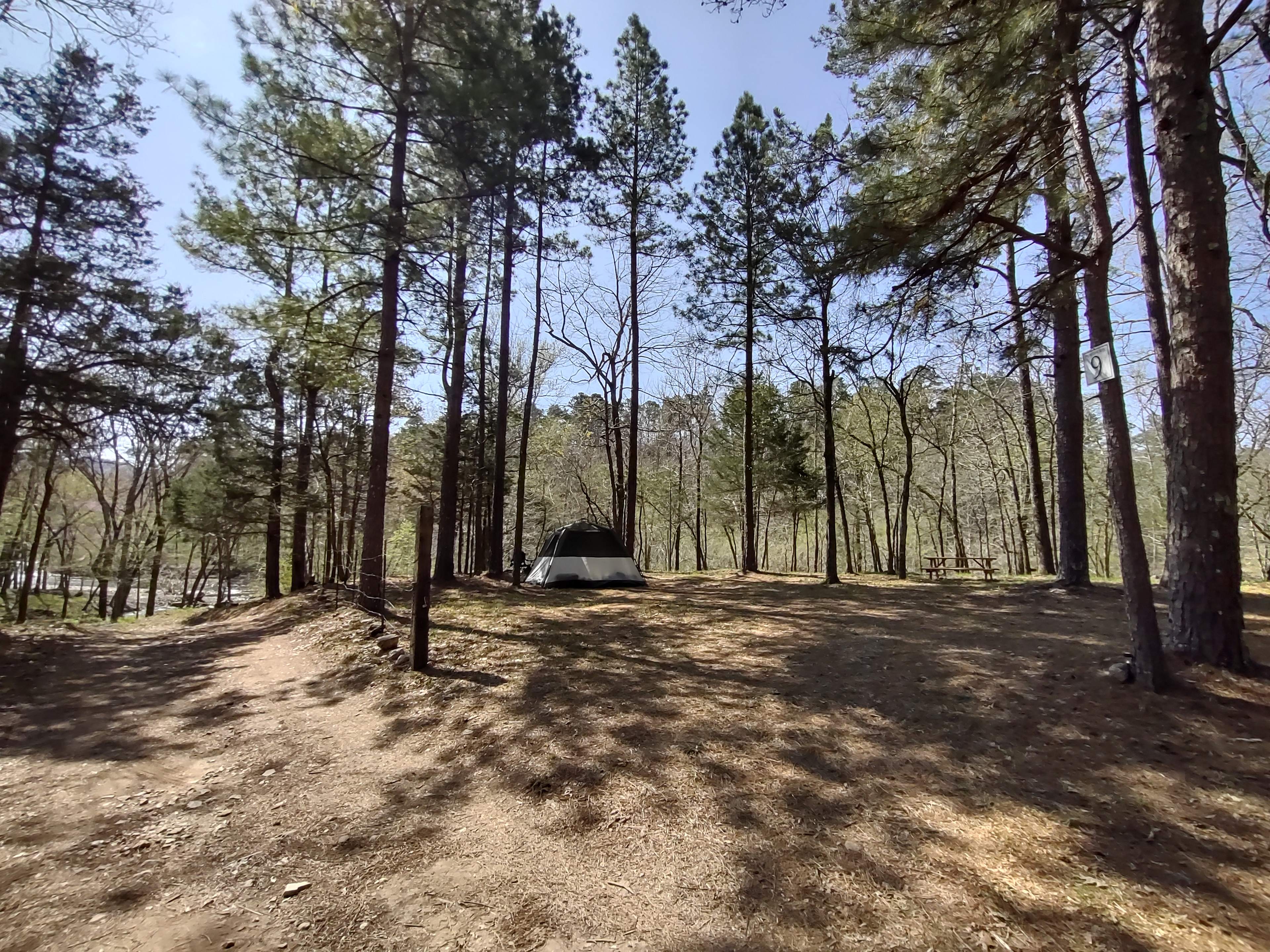 Fancy Hill Cabins and RV Park LLC