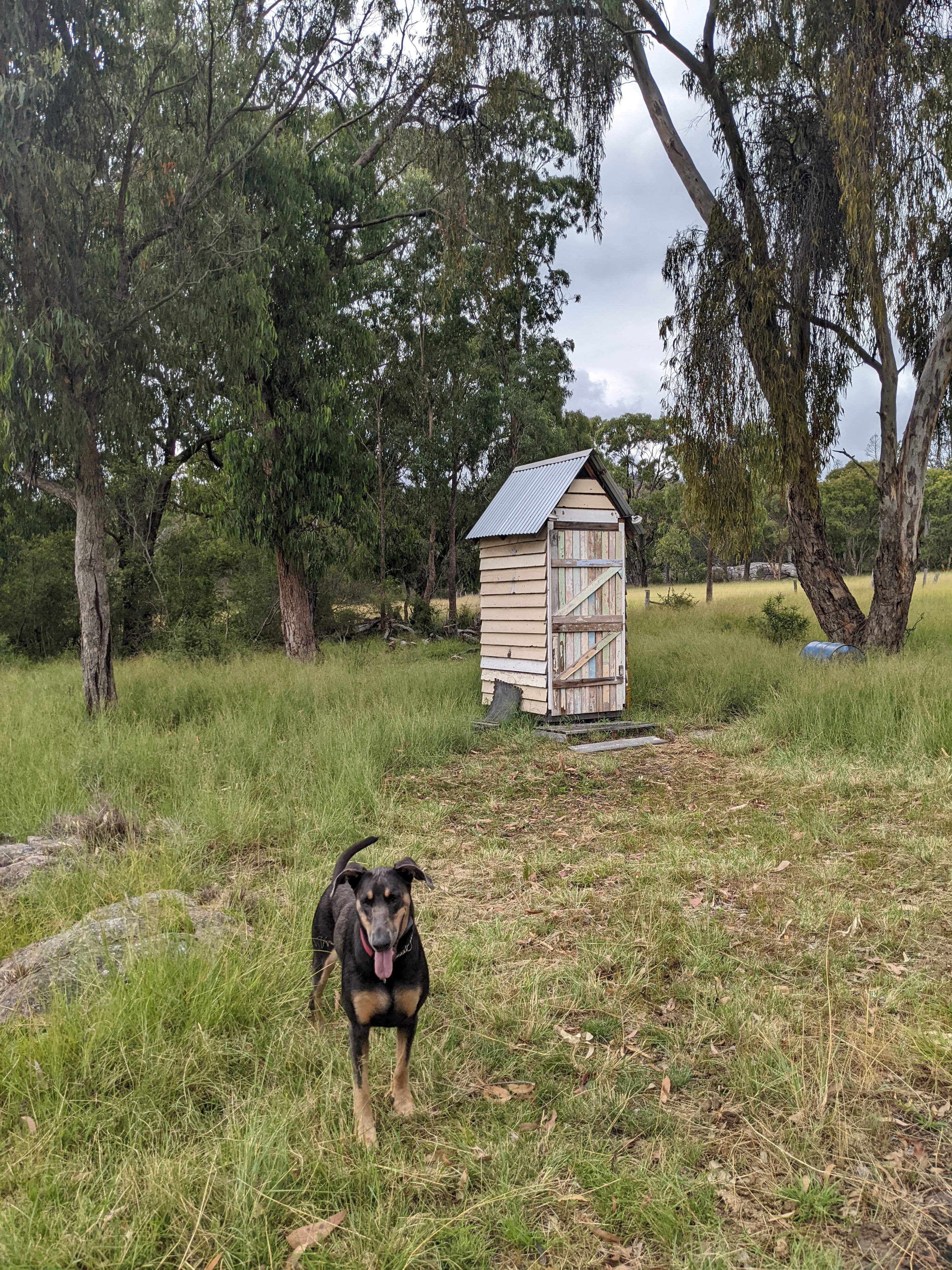 Granite & Eucalyptus Bush Camping