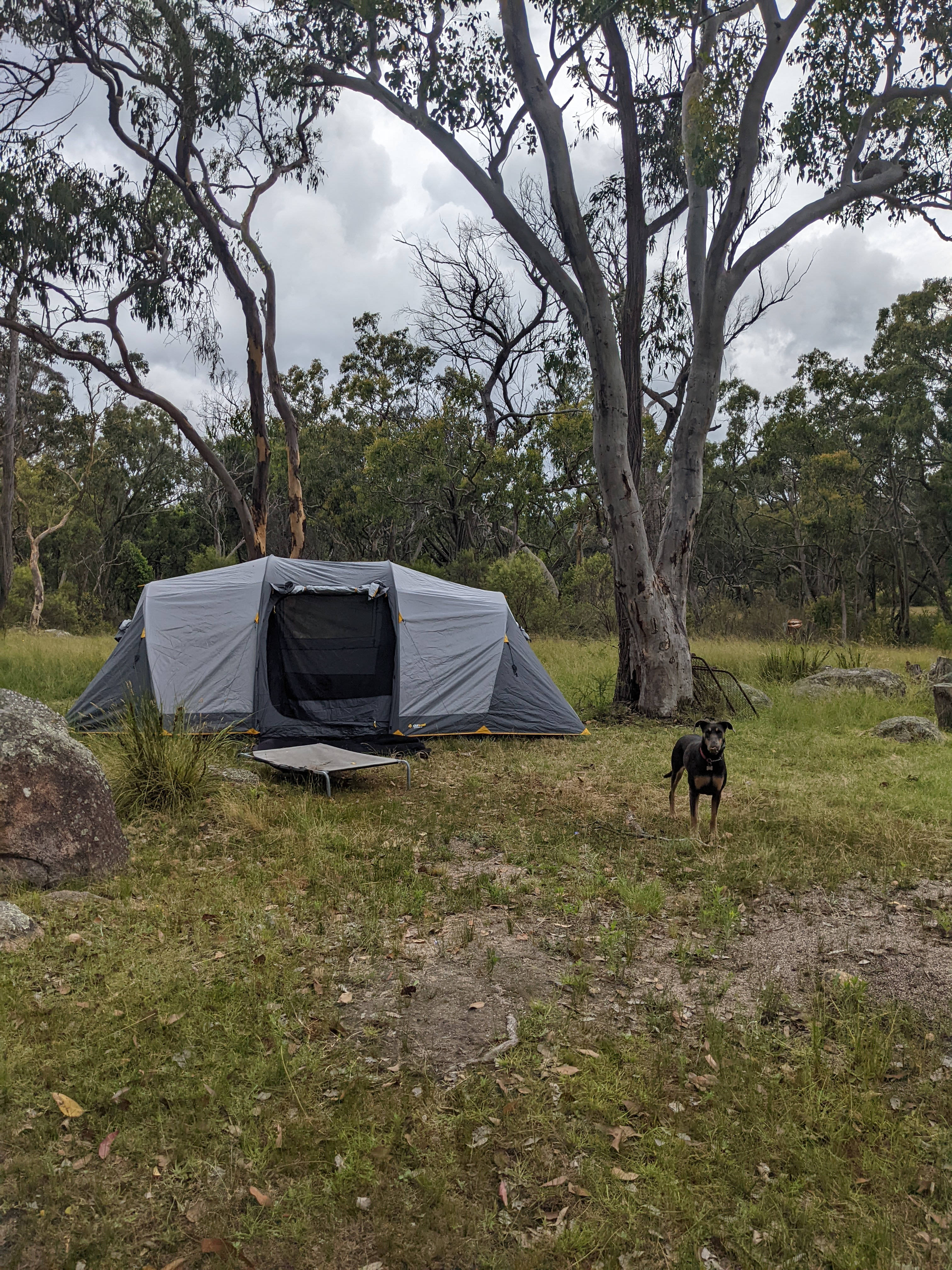 Granite & Eucalyptus Bush Camping