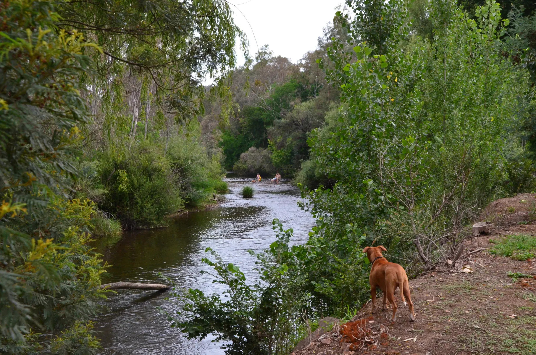 Riverside King Valley