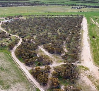 Currawong Corner - Caravan & tent