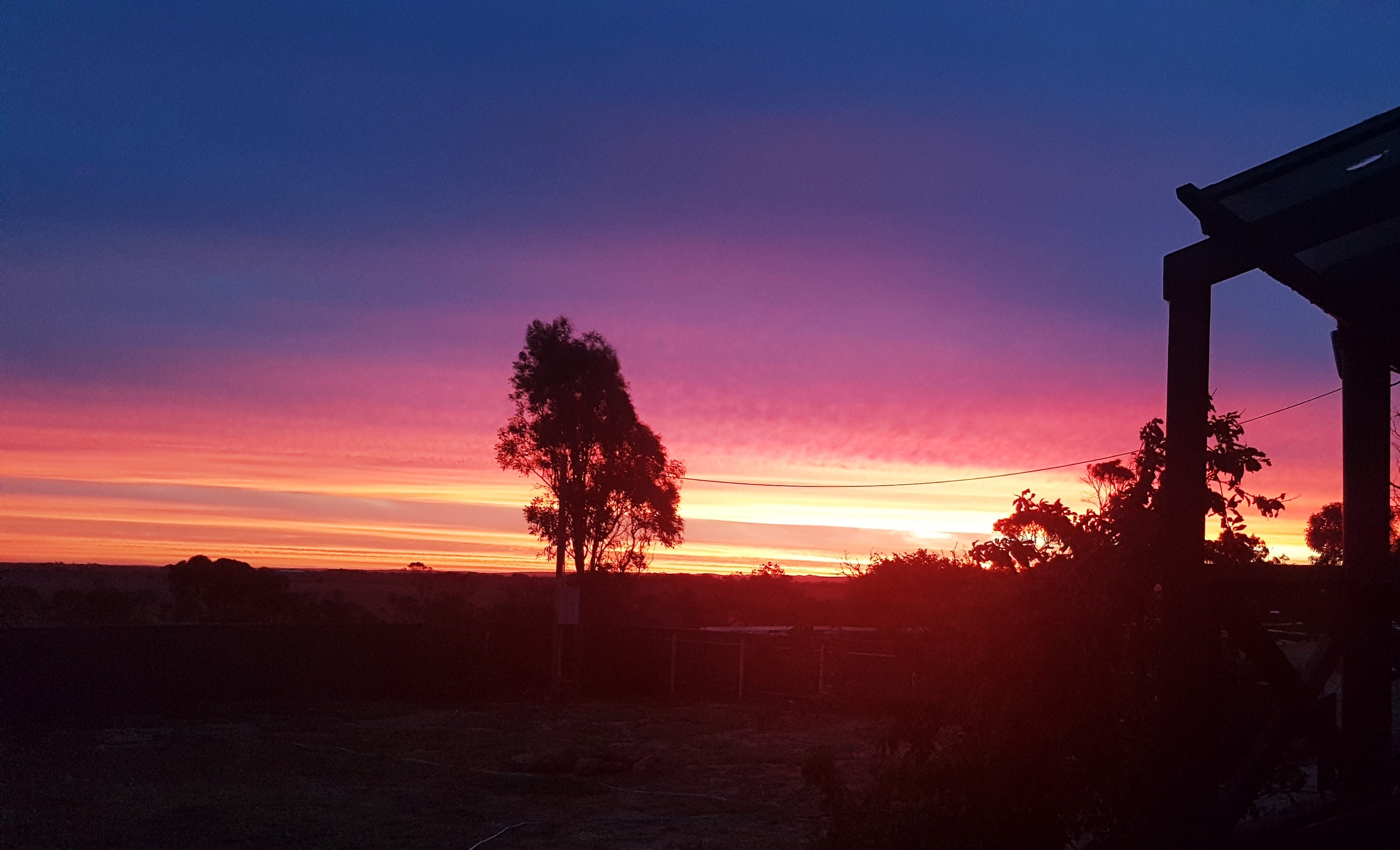 Currawong Corner bush camp - Caravan, RV & tent