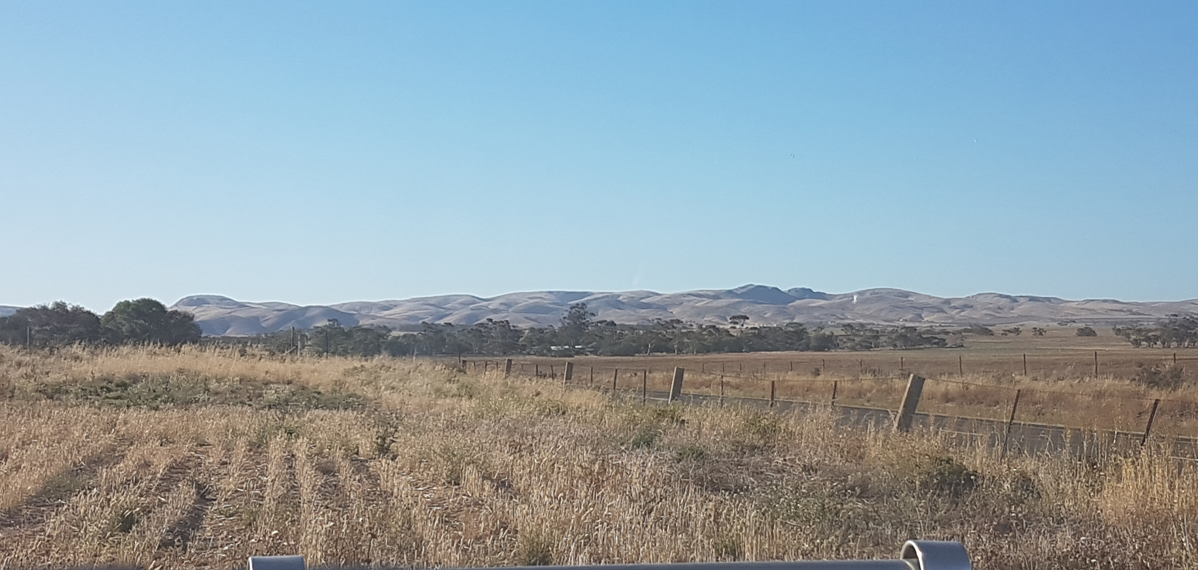 Currawong Corner - Caravan & tent