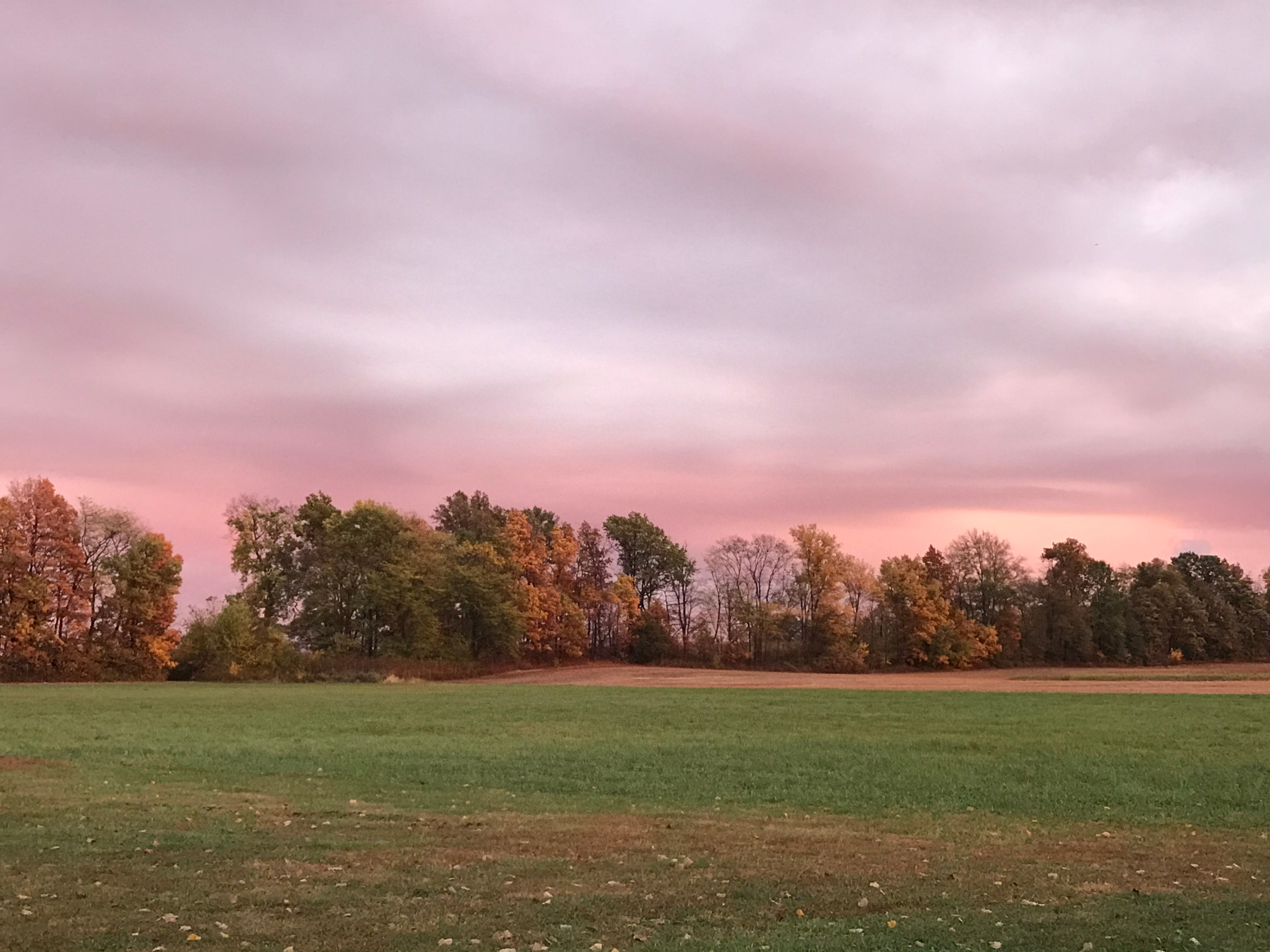 Havendell Farm and Wayside