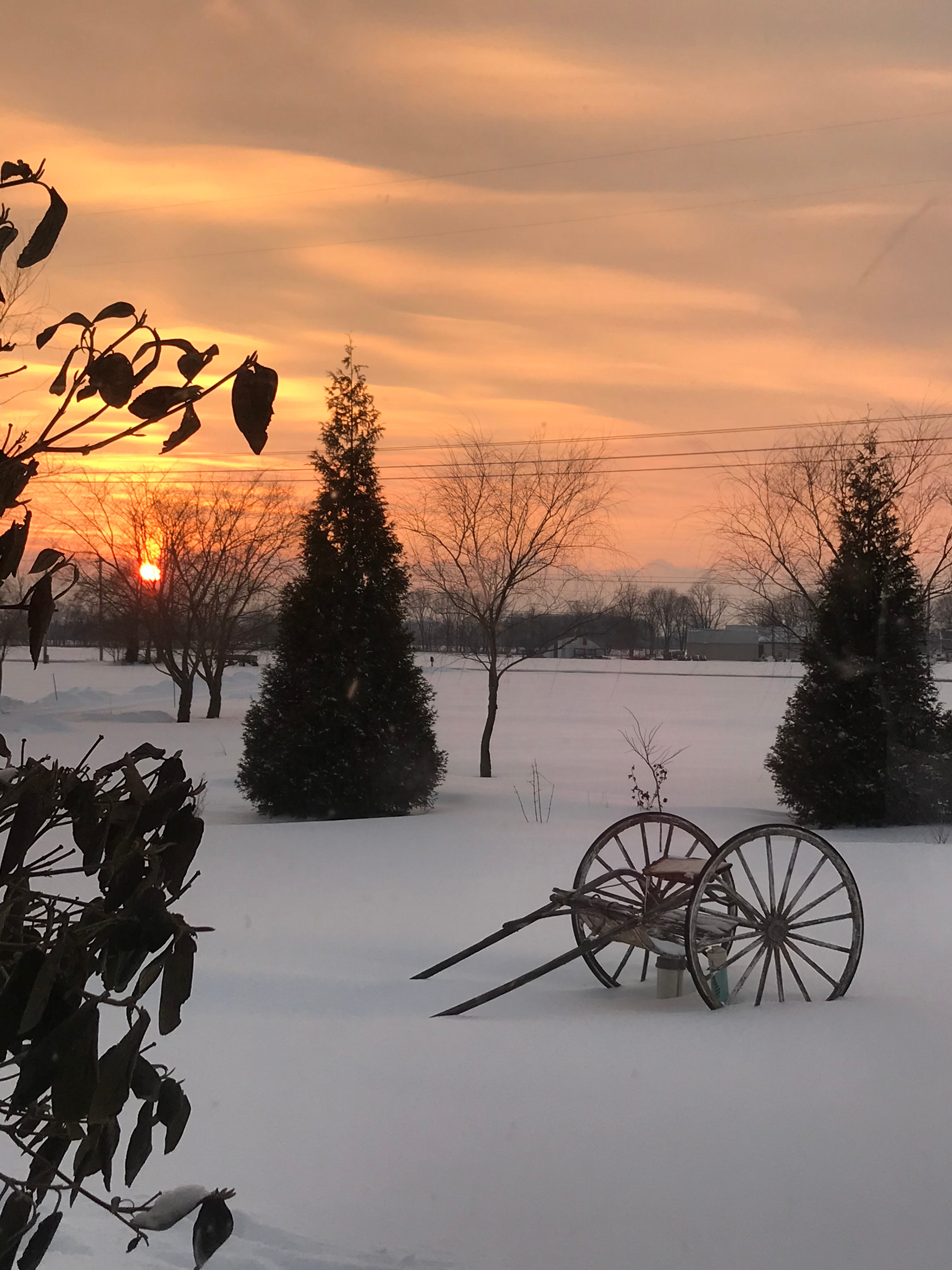 Havendell Farm and Wayside