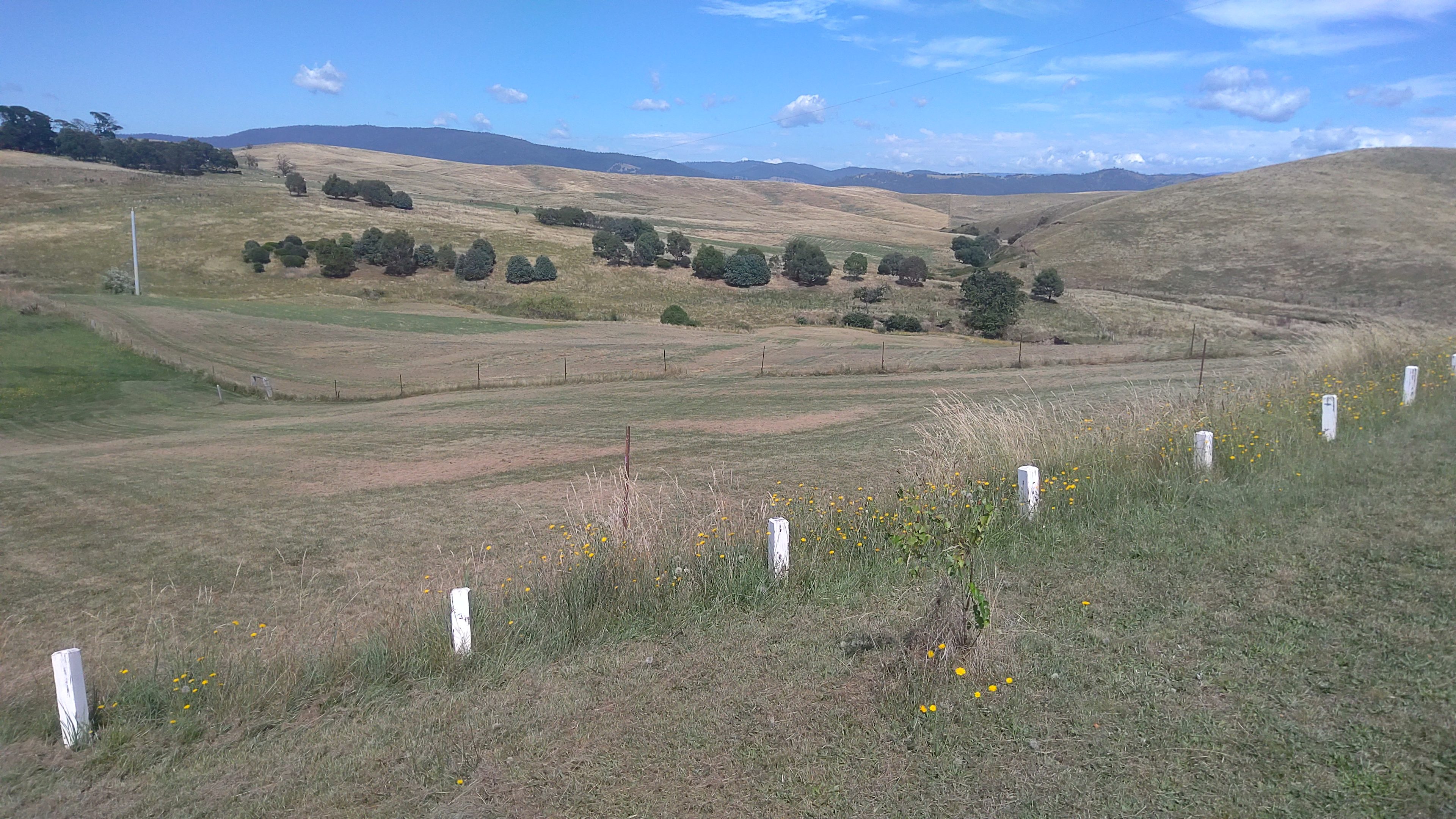 Undulating Paddocks - Hinnomunjie