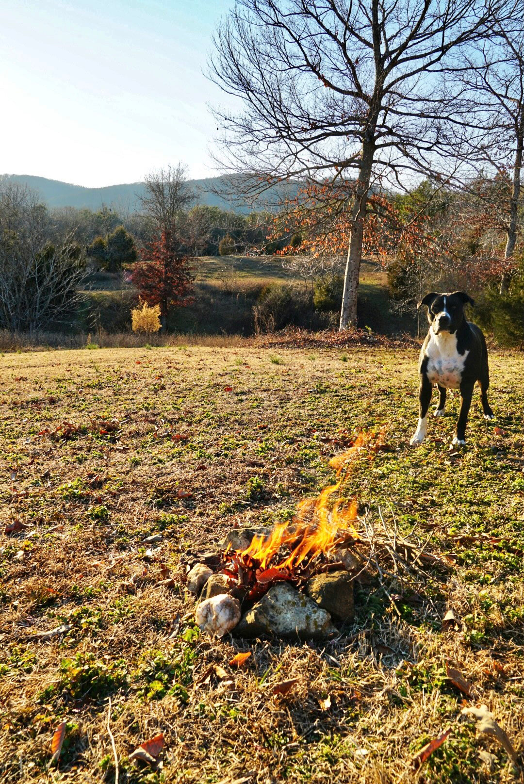 Campsite fire pit with a view