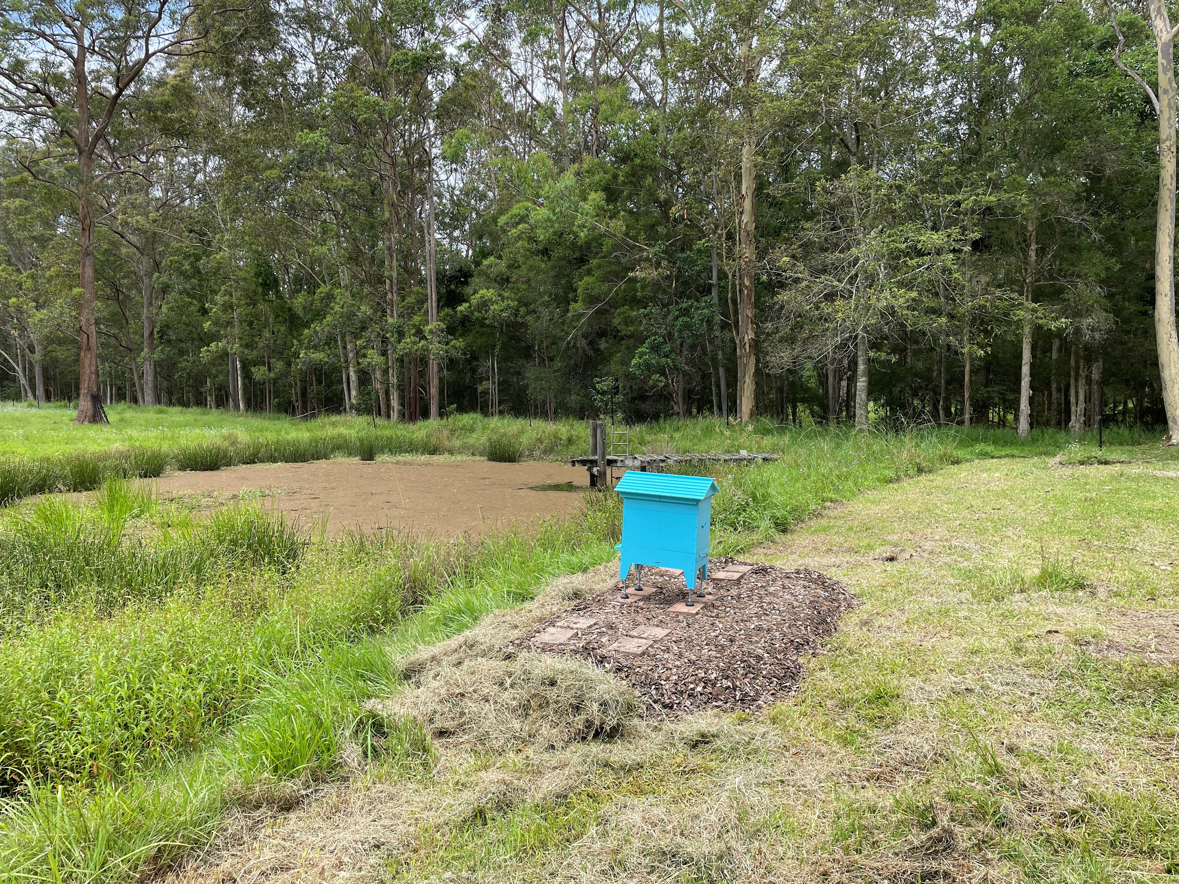 pond and bee hive